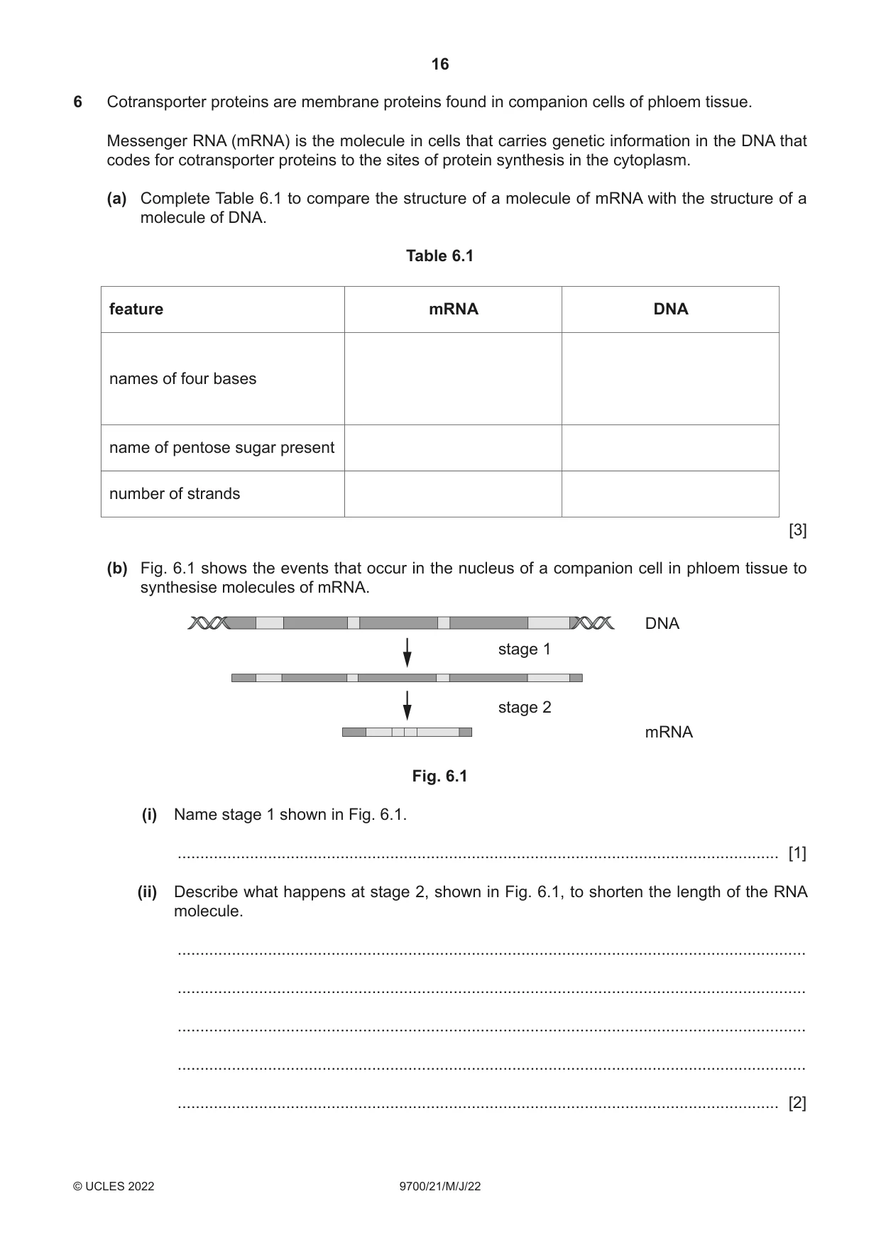 Cambridge A Level Biology 9700 2022 May/June Paper 2 · Variant 1 question paper, page 16 of 20