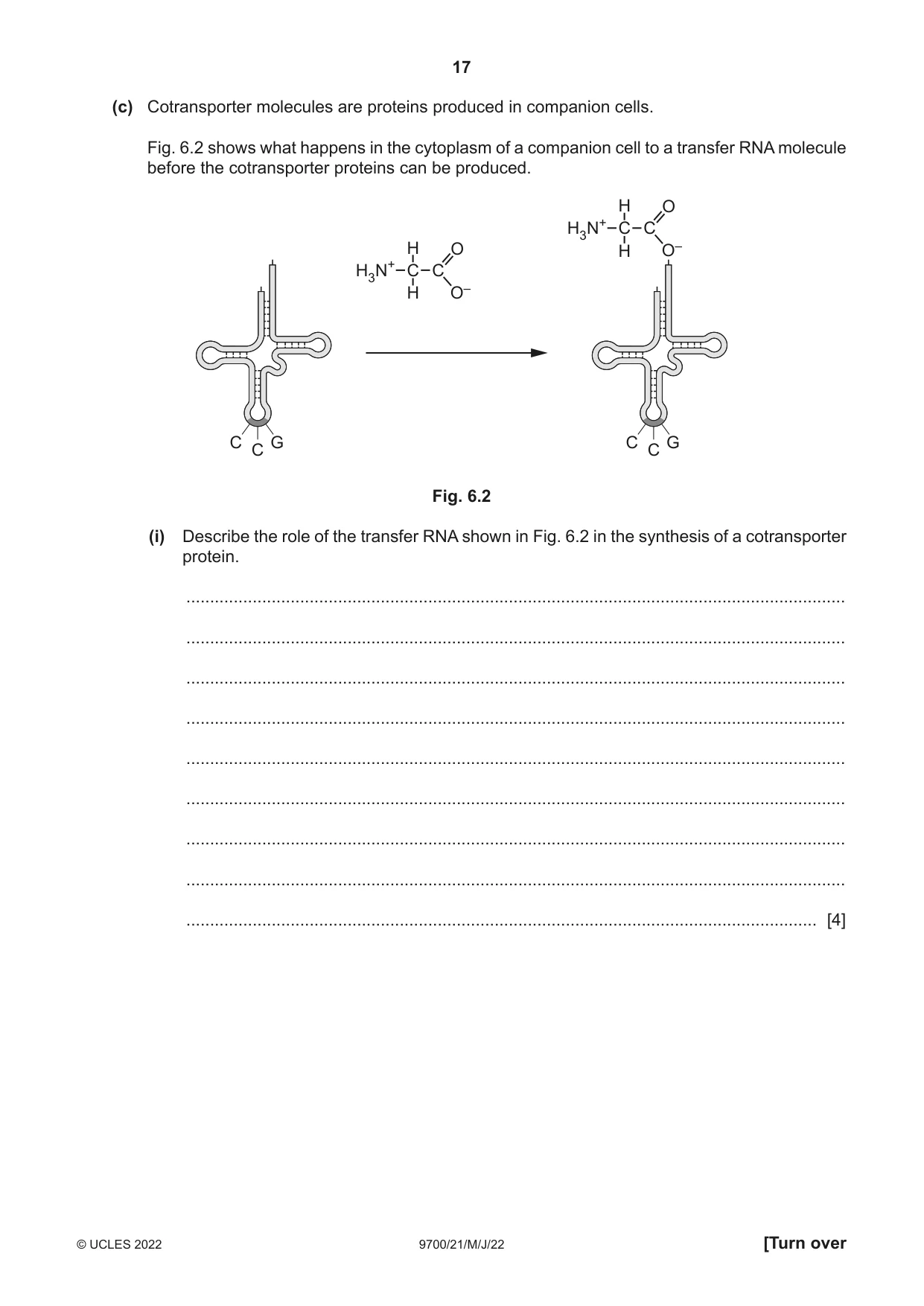 Cambridge A Level Biology 9700 2022 May/June Paper 2 · Variant 1 question paper, page 17 of 20