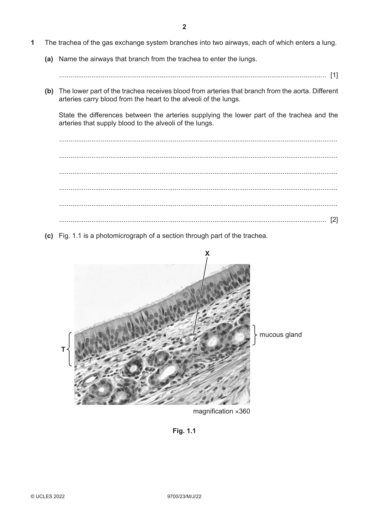Cambridge A Level Biology 9700 2022 May/June Paper 2 · Variant 3 question paper, page 2 of 16