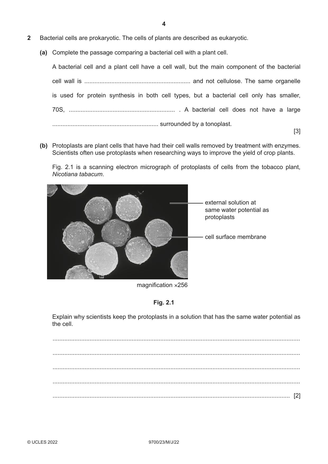 Cambridge A Level Biology 9700 2022 May/June Paper 2 · Variant 3 question paper, page 4 of 16