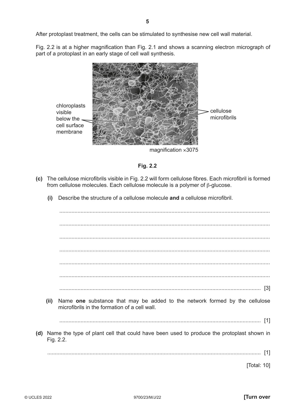 Cambridge A Level Biology 9700 2022 May/June Paper 2 · Variant 3 question paper, page 5 of 16