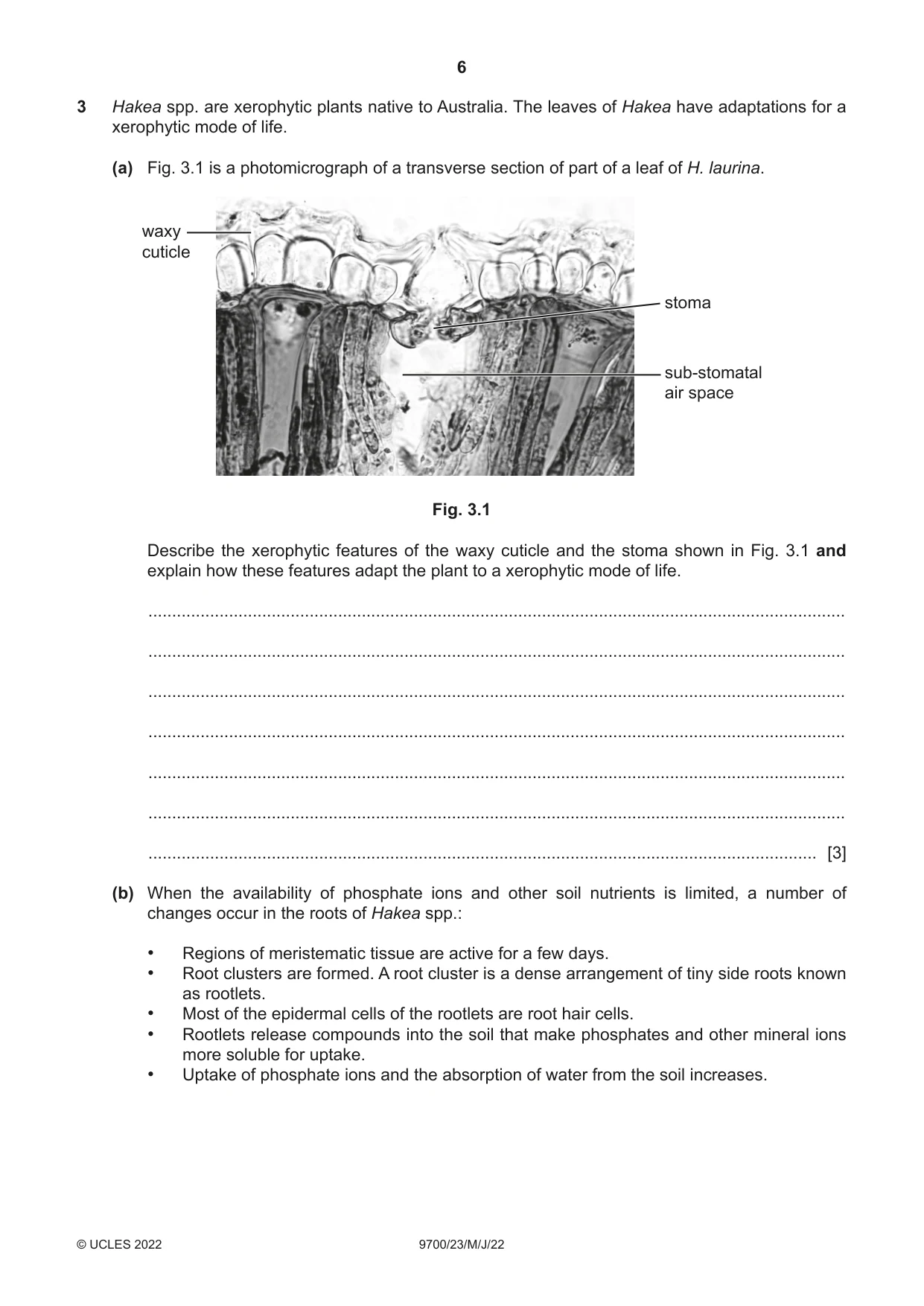 Cambridge A Level Biology 9700 2022 May/June Paper 2 · Variant 3 question paper, page 6 of 16