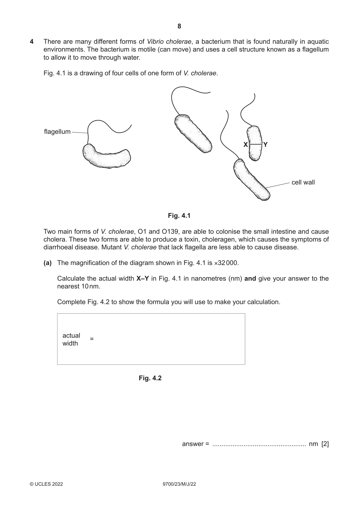 Cambridge A Level Biology 9700 2022 May/June Paper 2 · Variant 3 question paper, page 8 of 16