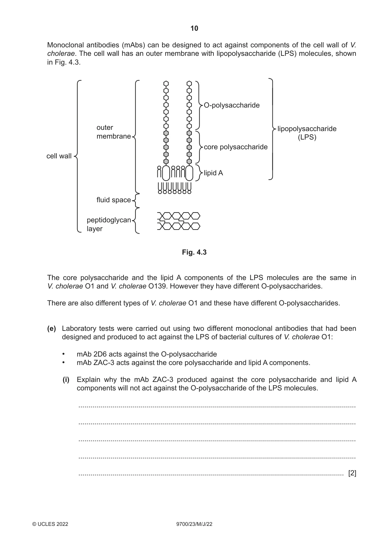 Cambridge A Level Biology 9700 2022 May/June Paper 2 · Variant 3 question paper, page 10 of 16