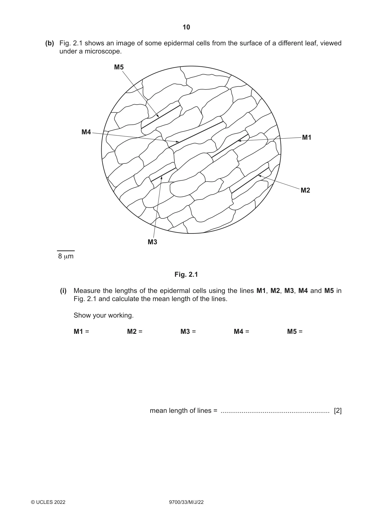 Cambridge A Level Biology 9700 2022 May/June Paper 3 · Variant 3 question paper, page 10 of 16