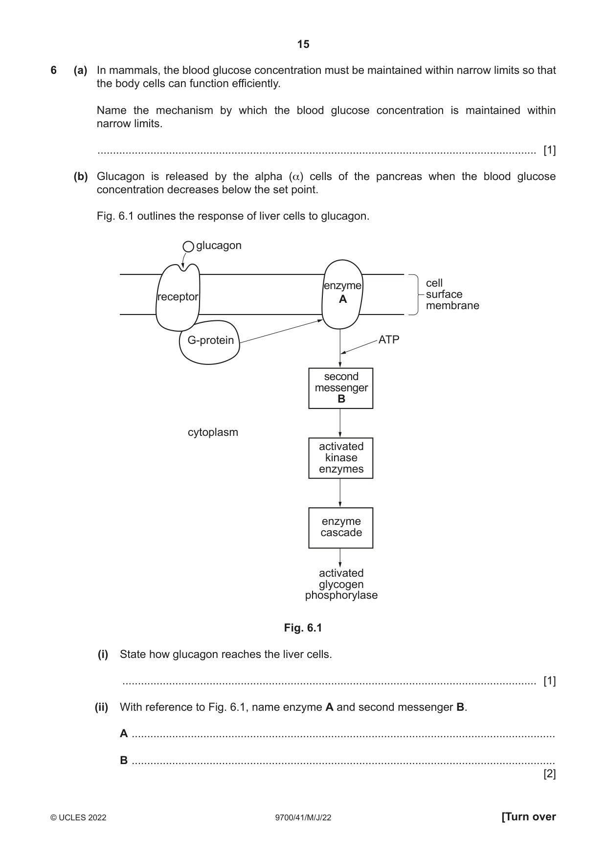 Cambridge A Level Biology 9700 2022 May/June Paper 4 · Variant 1 question paper, page 15 of 24