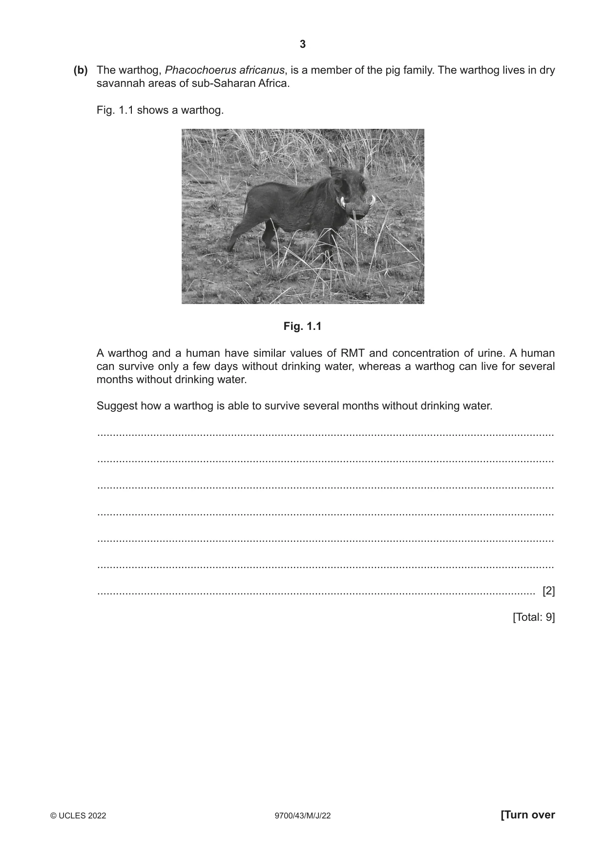 Cambridge A Level Biology 9700 2022 May/June Paper 4 · Variant 3 question paper, page 3 of 24
