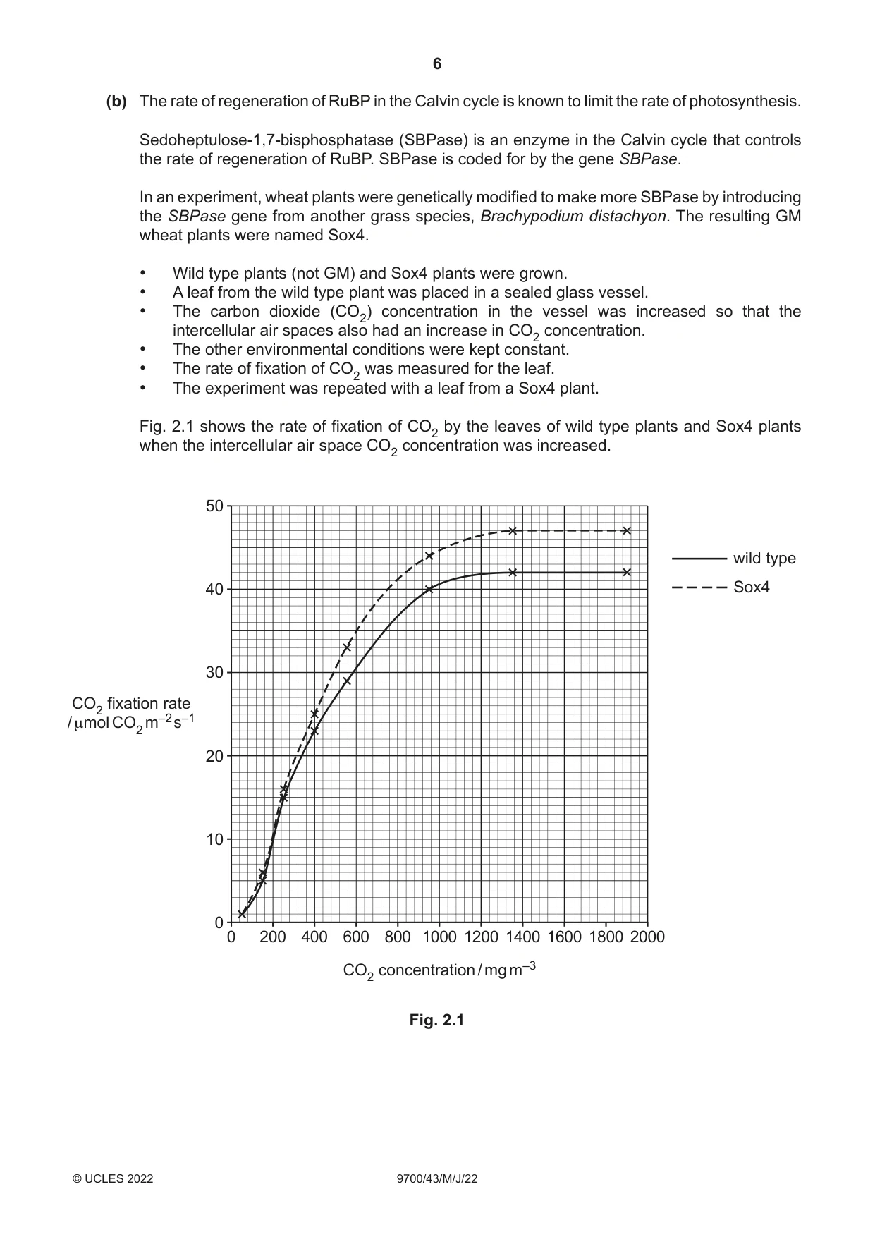 Cambridge A Level Biology 9700 2022 May/June Paper 4 · Variant 3 question paper, page 6 of 24
