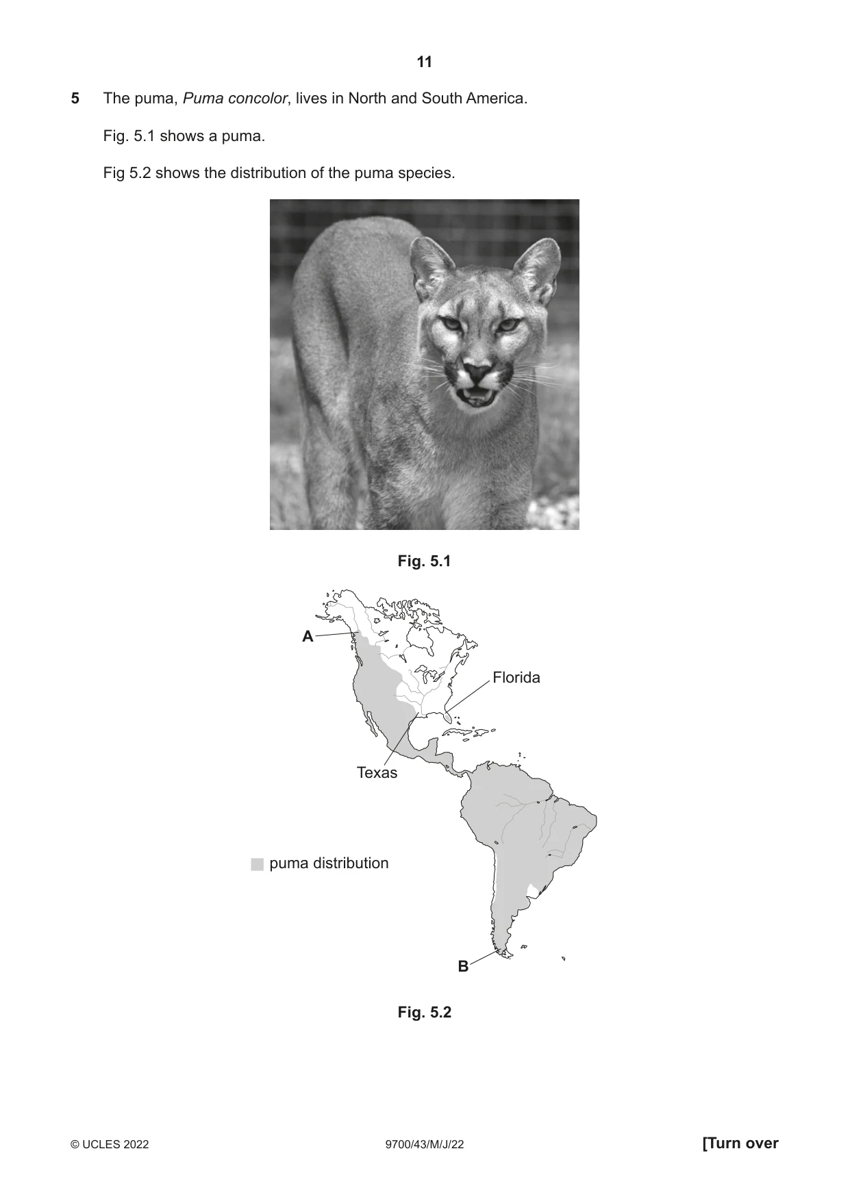 Cambridge A Level Biology 9700 2022 May/June Paper 4 · Variant 3 question paper, page 11 of 24