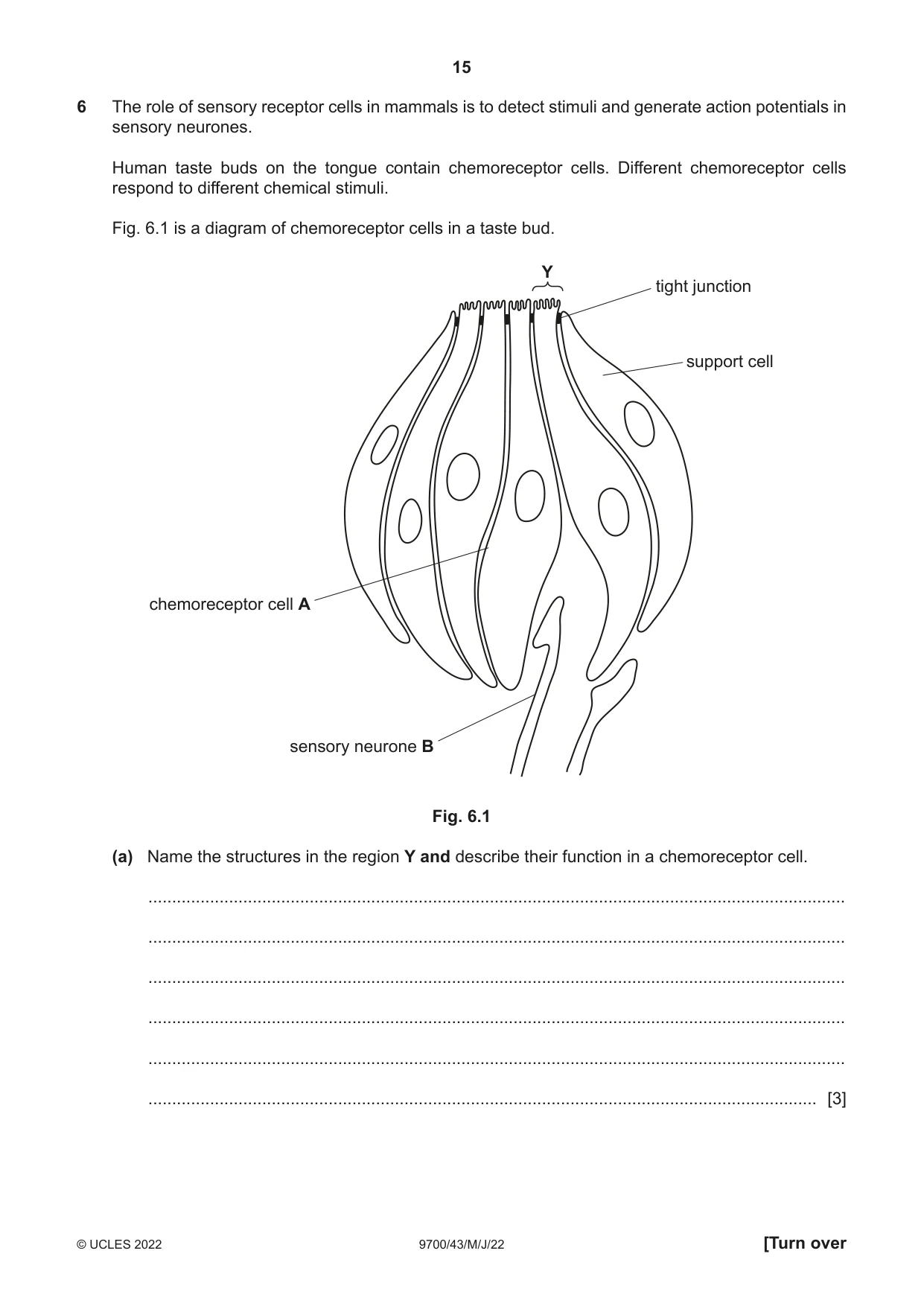 Cambridge A Level Biology 9700 2022 May/June Paper 4 · Variant 3 question paper, page 15 of 24