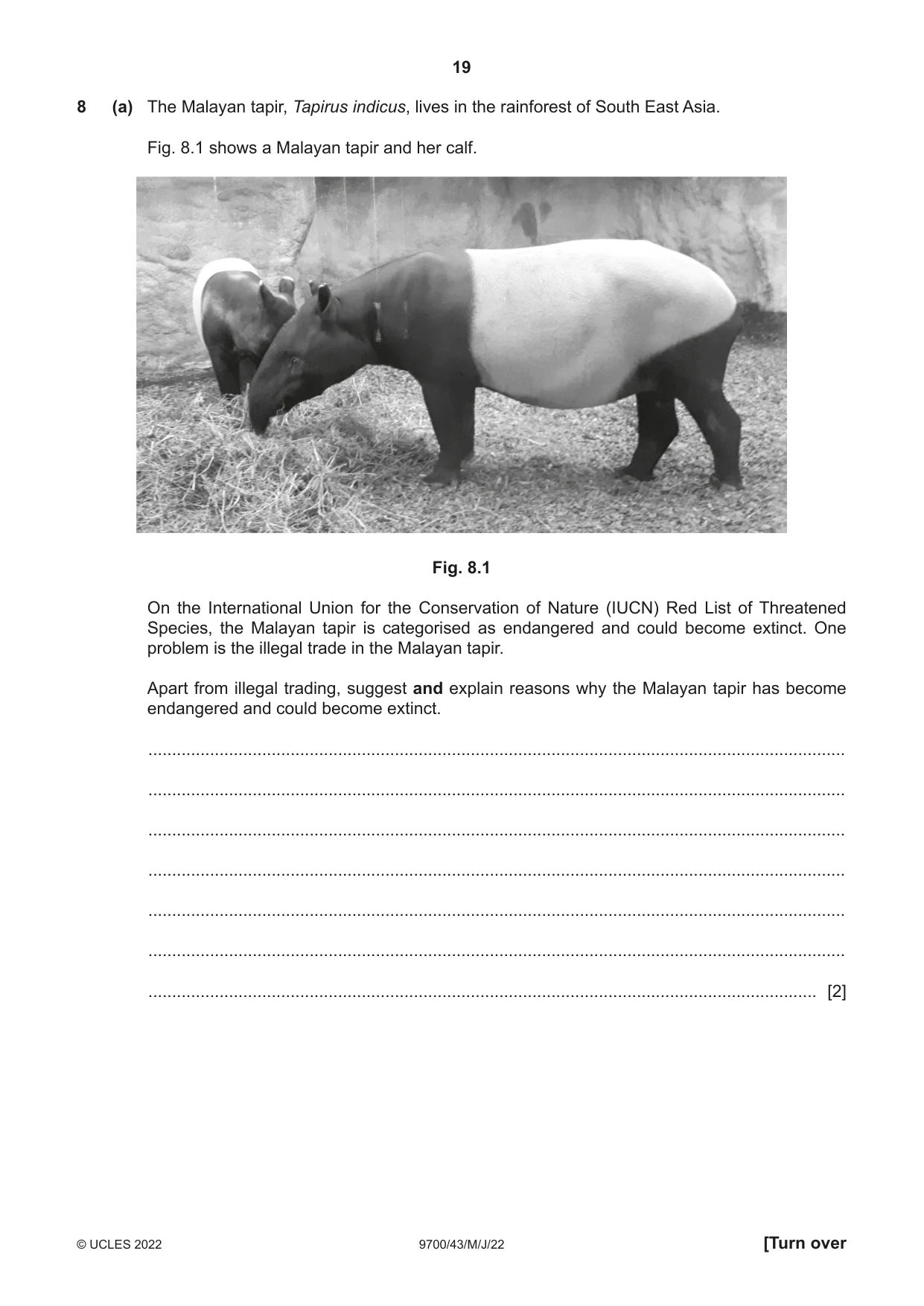 Cambridge A Level Biology 9700 2022 May/June Paper 4 · Variant 3 question paper, page 19 of 24