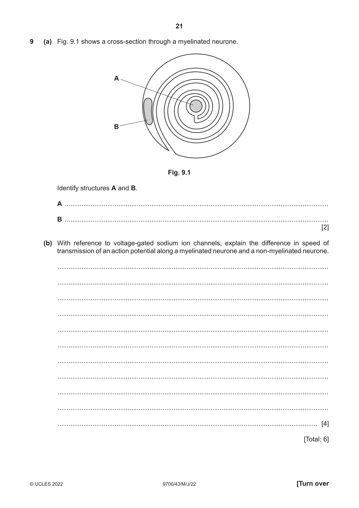 Cambridge A Level Biology 9700 2022 May/June Paper 4 · Variant 3 question paper, page 21 of 24