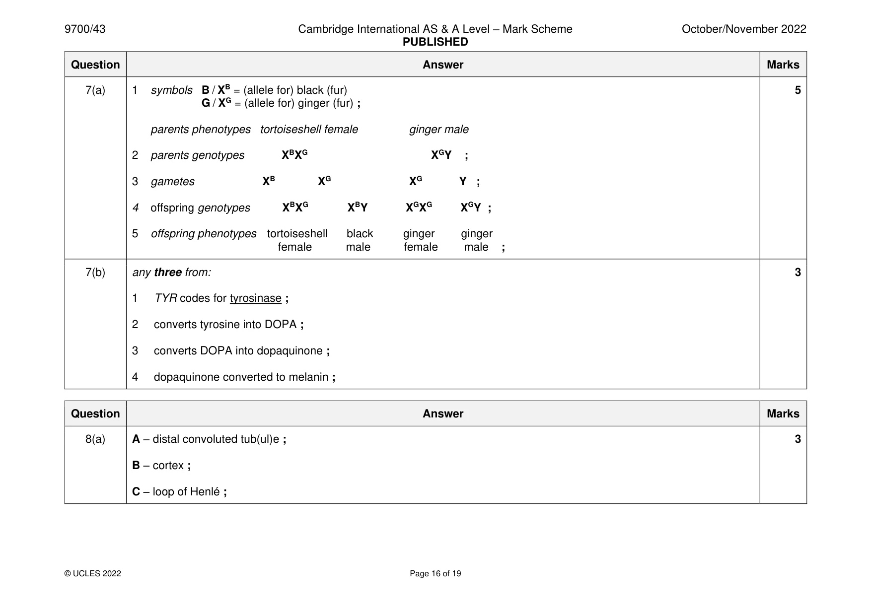 Mark scheme, page 16 of 19