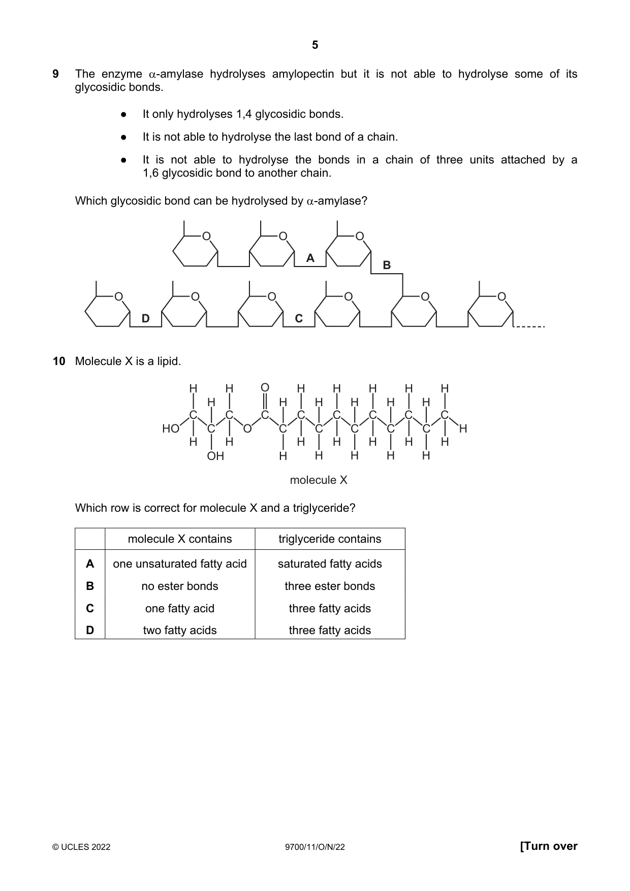 Cambridge A Level Biology 9700 2022 Oct/Nov Paper 1 · Variant 1 question paper, page 5 of 16
