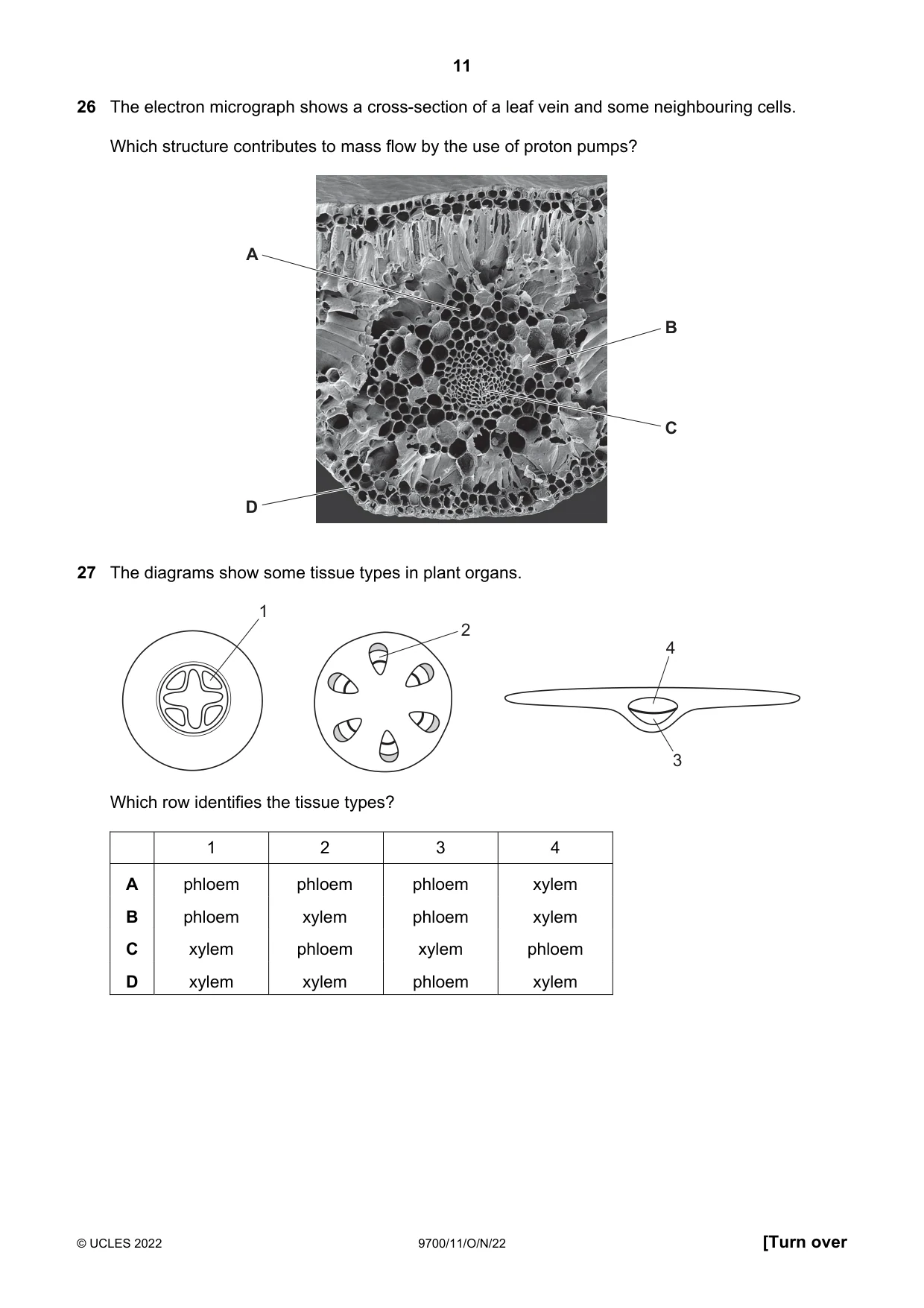 Cambridge A Level Biology 9700 2022 Oct/Nov Paper 1 · Variant 1 question paper, page 11 of 16