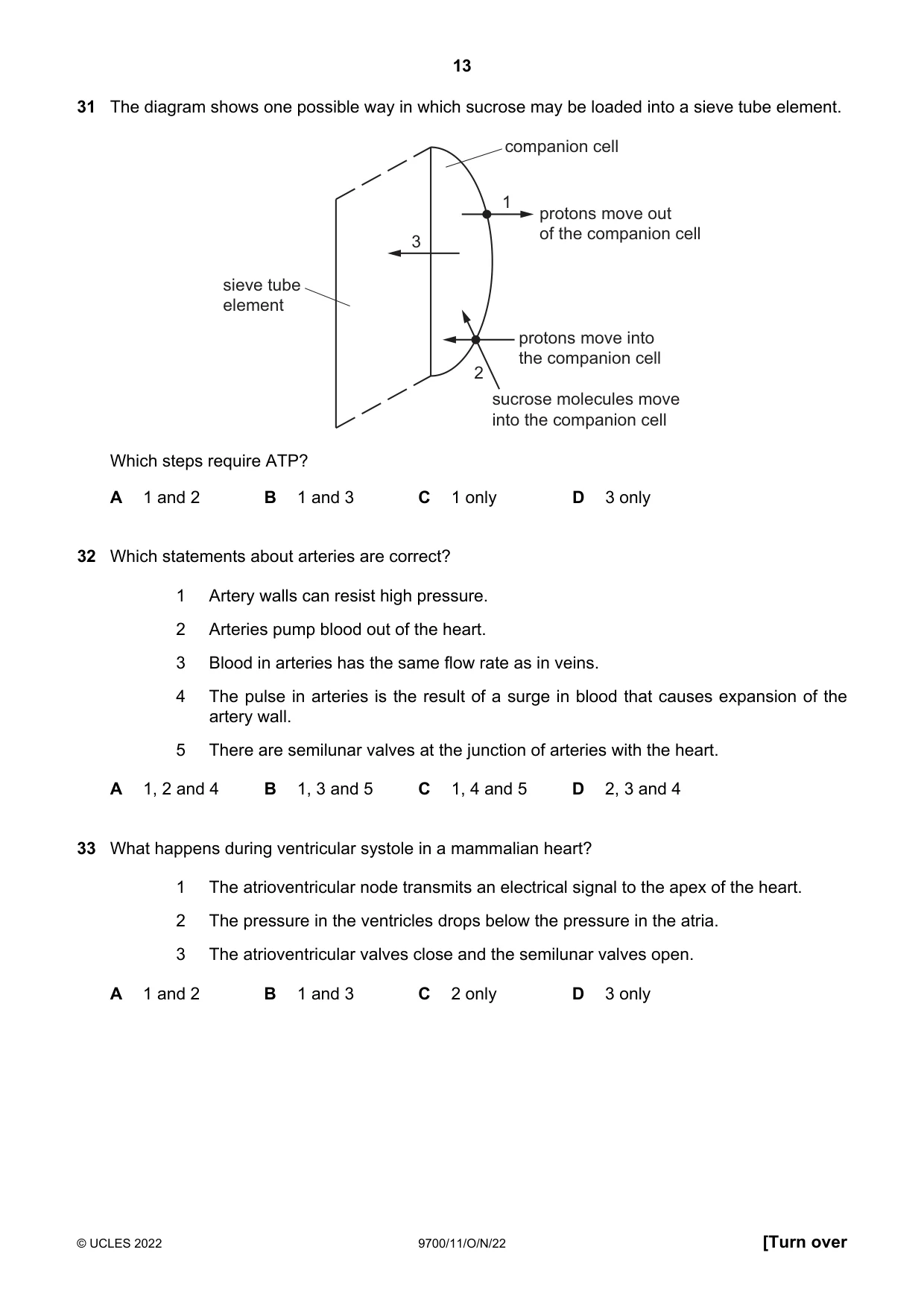 Cambridge A Level Biology 9700 2022 Oct/Nov Paper 1 · Variant 1 question paper, page 13 of 16