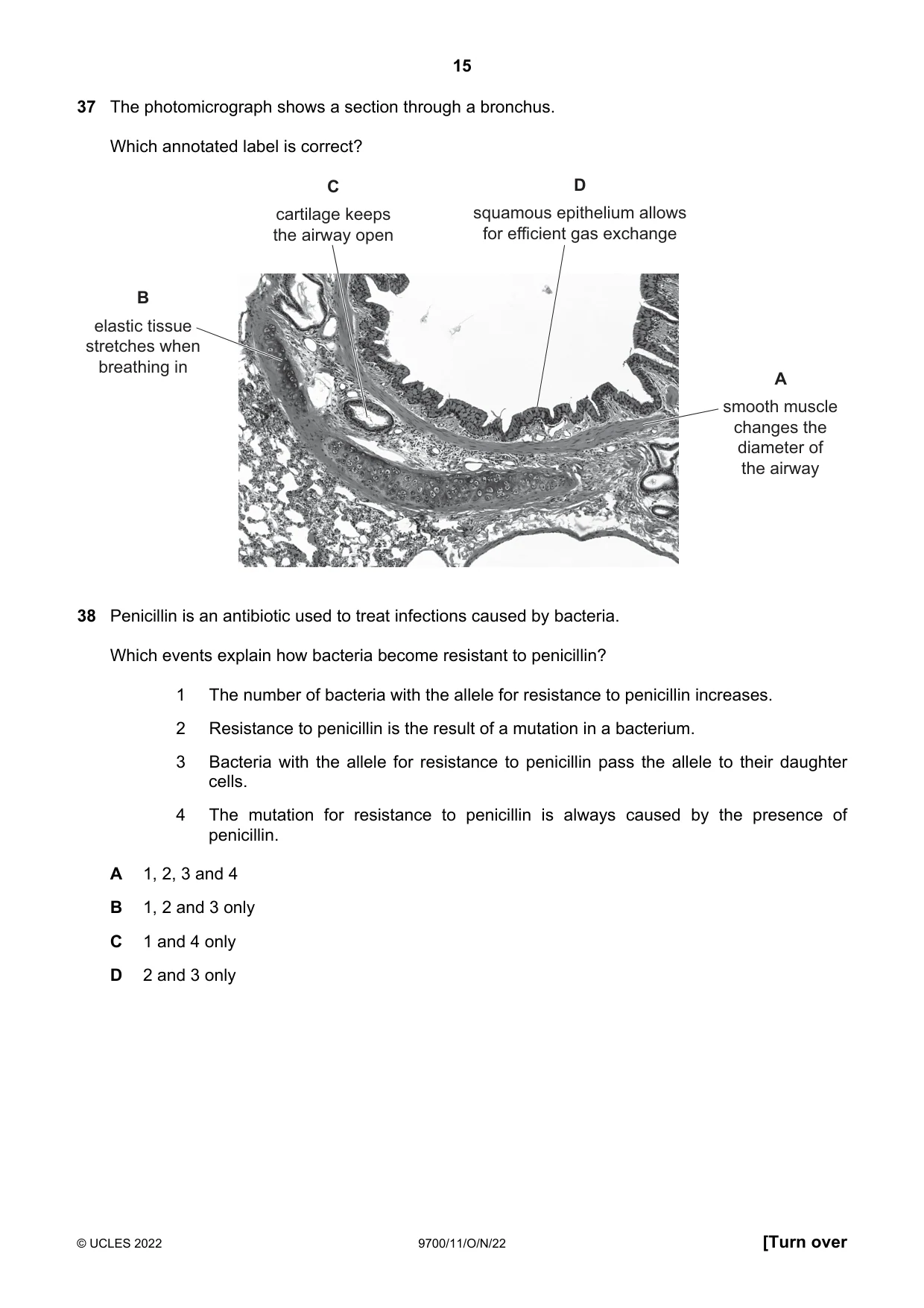 Cambridge A Level Biology 9700 2022 Oct/Nov Paper 1 · Variant 1 question paper, page 15 of 16