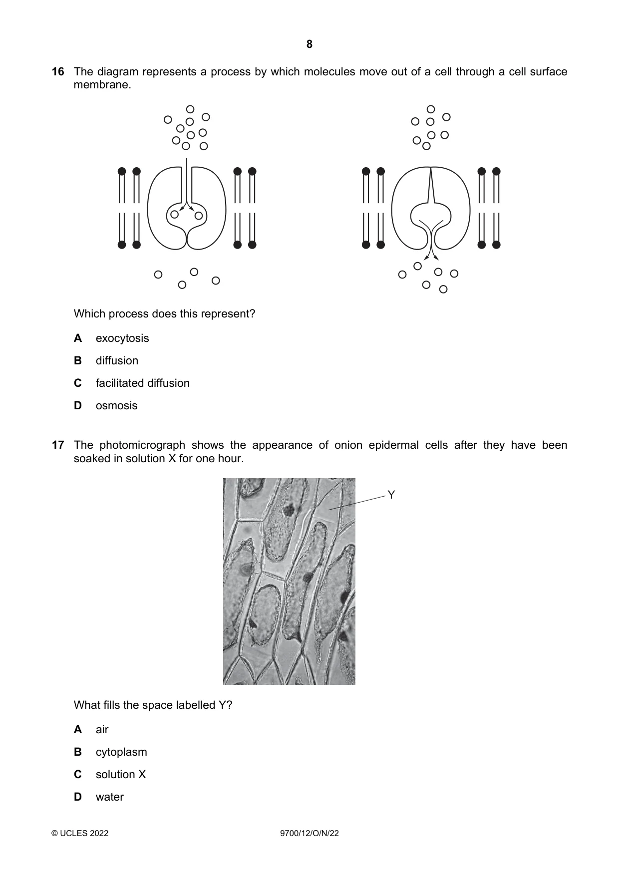 Cambridge A Level Biology 9700 2022 Oct/Nov Paper 1 · Variant 2 question paper, page 8 of 16