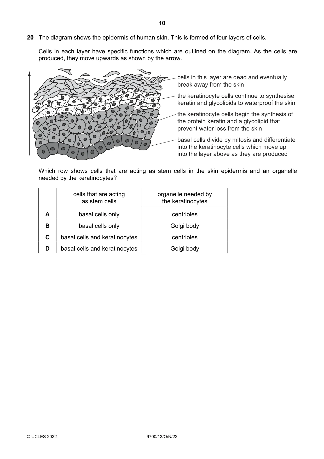 Cambridge A Level Biology 9700 2022 Oct/Nov Paper 1 · Variant 3 question paper, page 10 of 20
