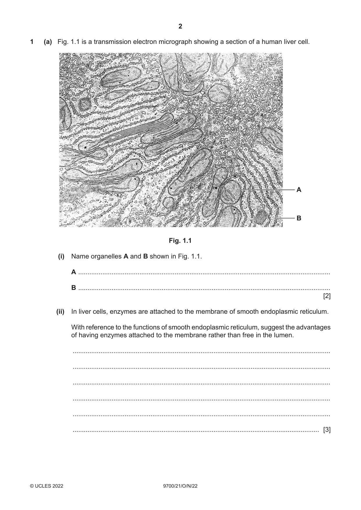 Cambridge A Level Biology 9700 2022 Oct/Nov Paper 2 · Variant 1 question paper, page 2 of 20