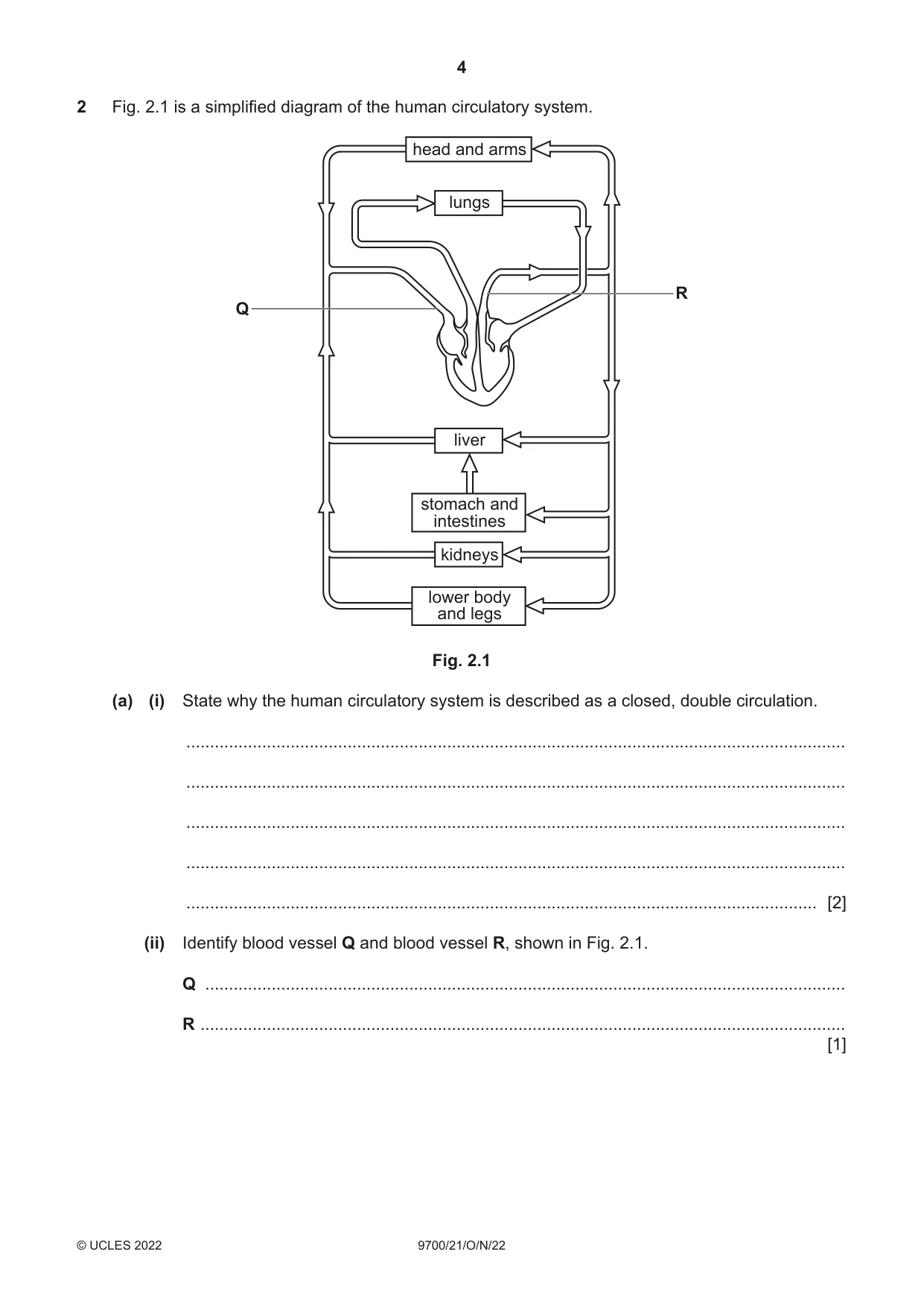 Cambridge A Level Biology 9700 2022 Oct/Nov Paper 2 · Variant 1 question paper, page 4 of 20