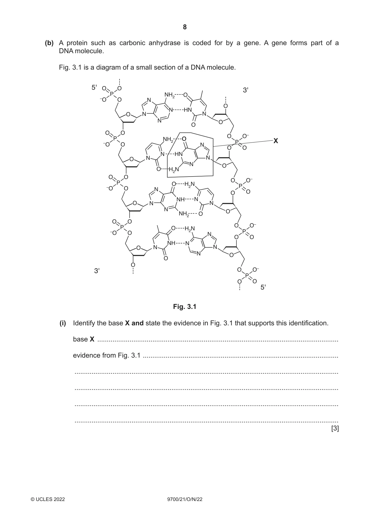 Cambridge A Level Biology 9700 2022 Oct/Nov Paper 2 · Variant 1 question paper, page 8 of 20
