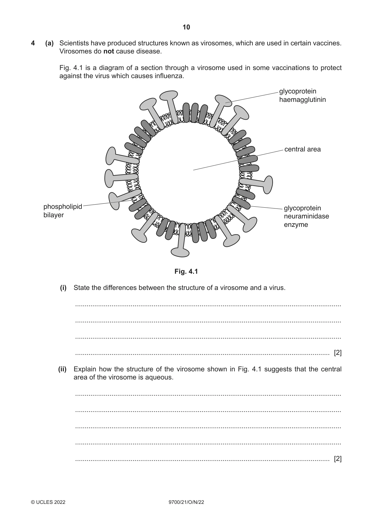Cambridge A Level Biology 9700 2022 Oct/Nov Paper 2 · Variant 1 question paper, page 10 of 20