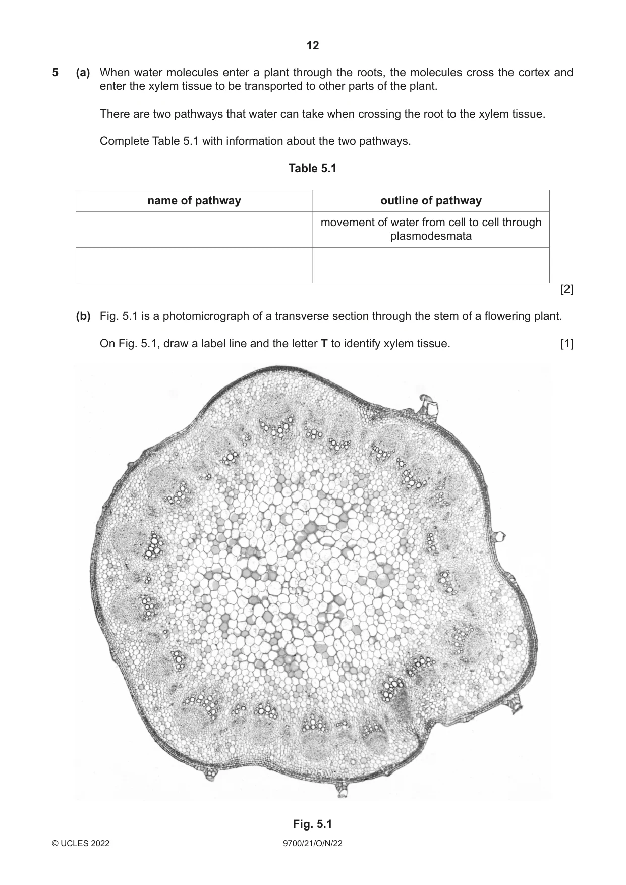 Cambridge A Level Biology 9700 2022 Oct/Nov Paper 2 · Variant 1 question paper, page 12 of 20