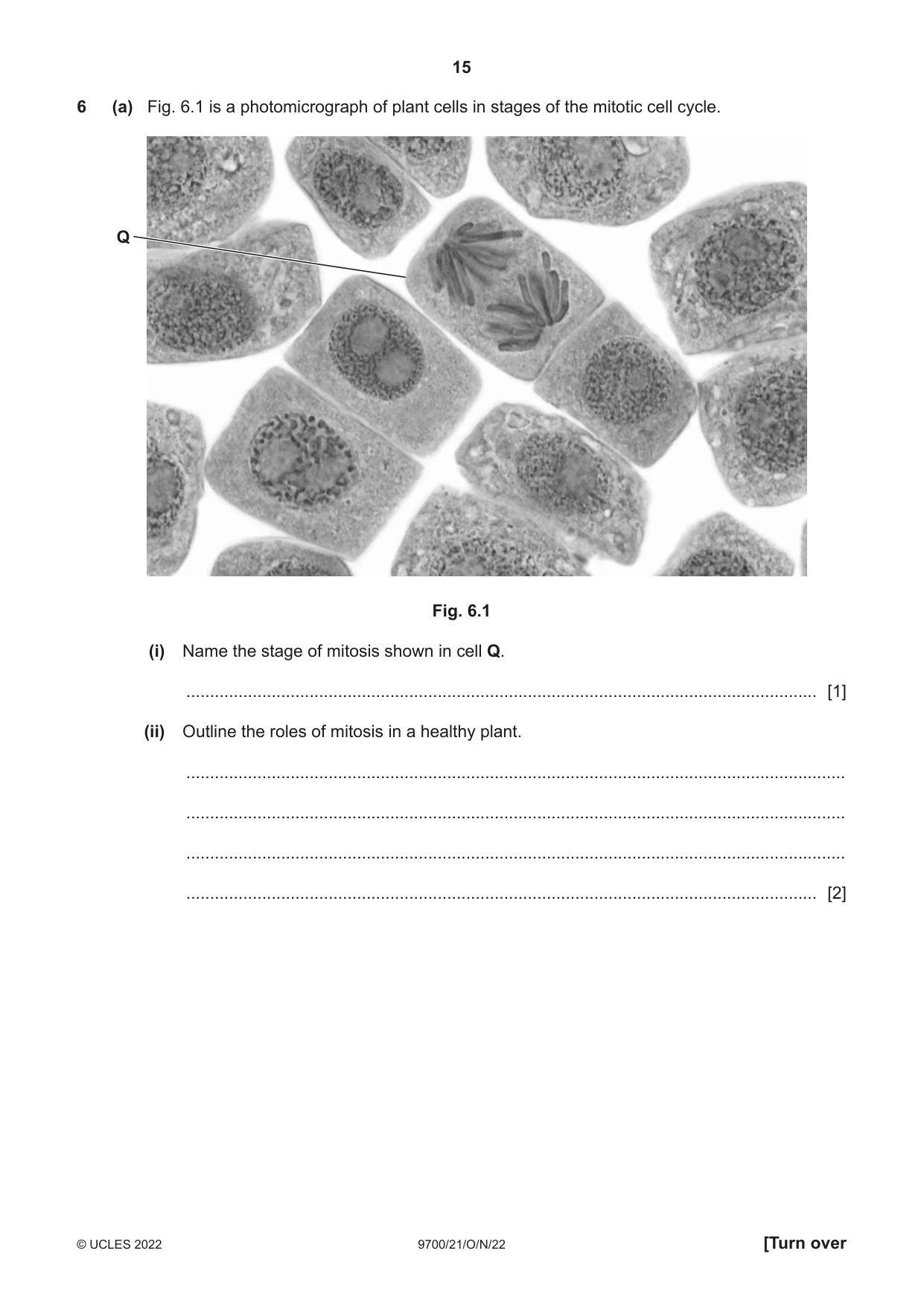 Cambridge A Level Biology 9700 2022 Oct/Nov Paper 2 · Variant 1 question paper, page 15 of 20