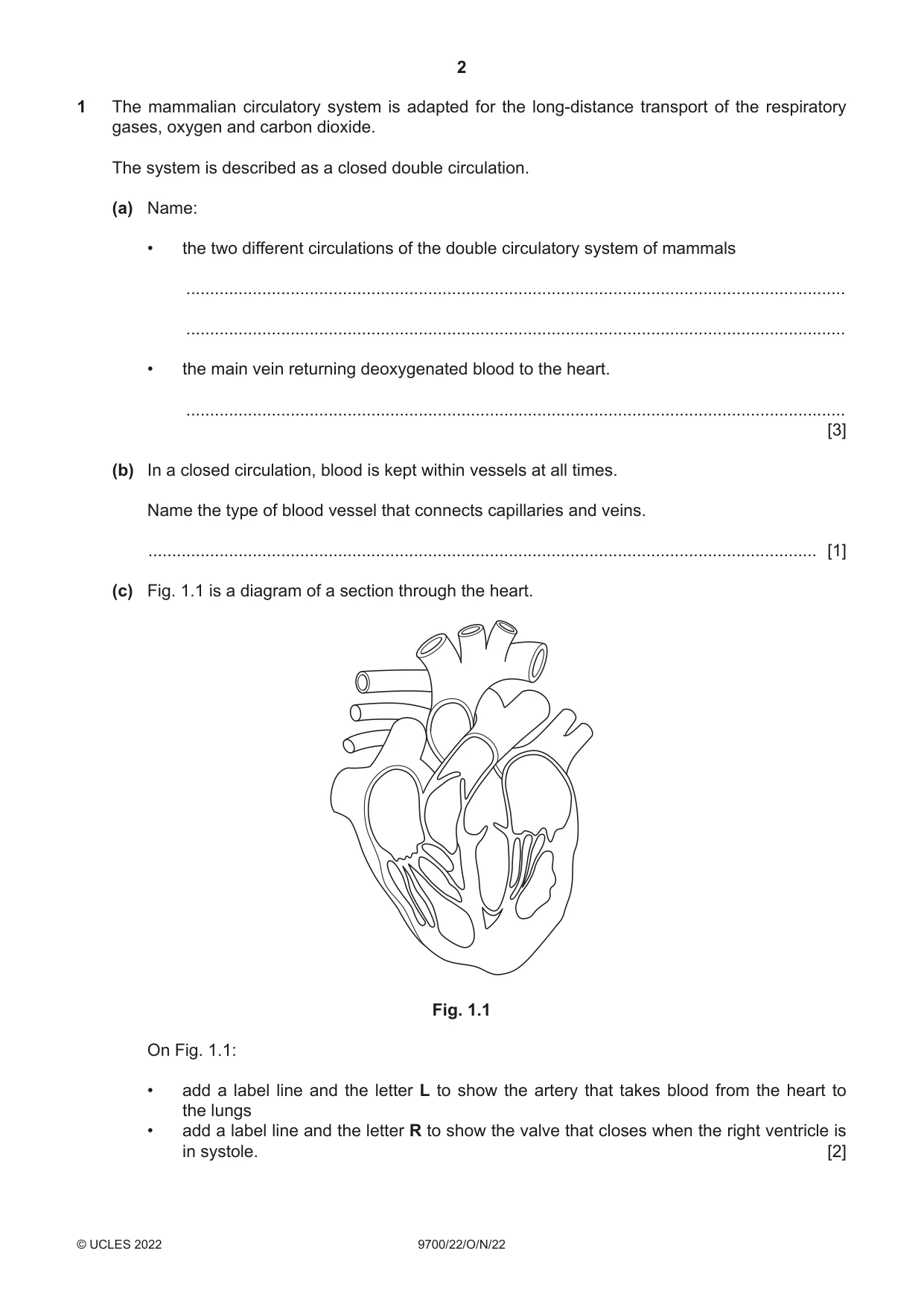 Cambridge A Level Biology 9700 2022 Oct/Nov Paper 2 · Variant 2 question paper, page 2 of 16