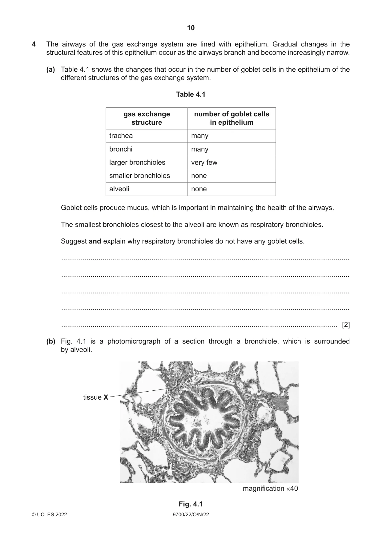Cambridge A Level Biology 9700 2022 Oct/Nov Paper 2 · Variant 2 question paper, page 10 of 16