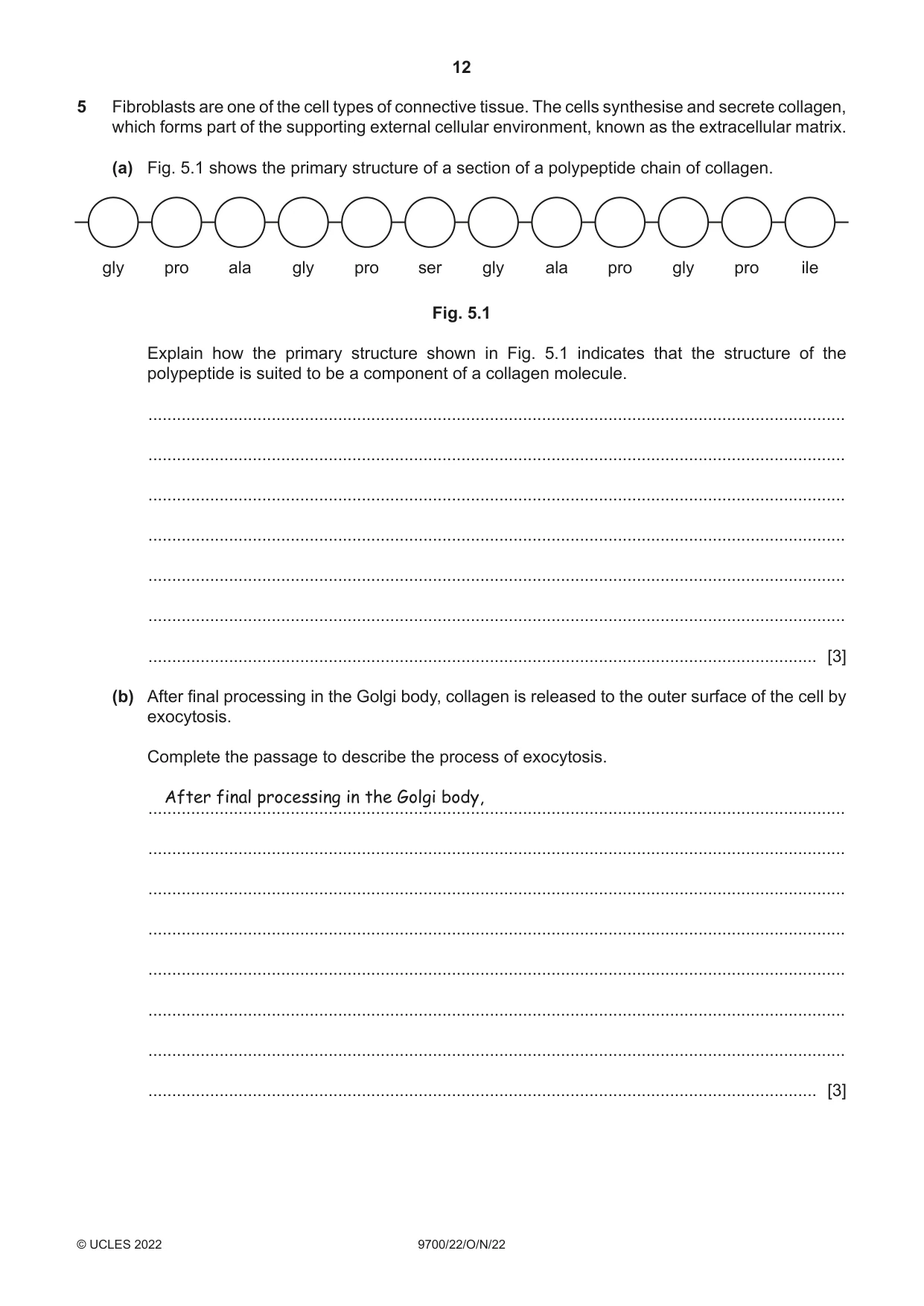Cambridge A Level Biology 9700 2022 Oct/Nov Paper 2 · Variant 2 question paper, page 12 of 16
