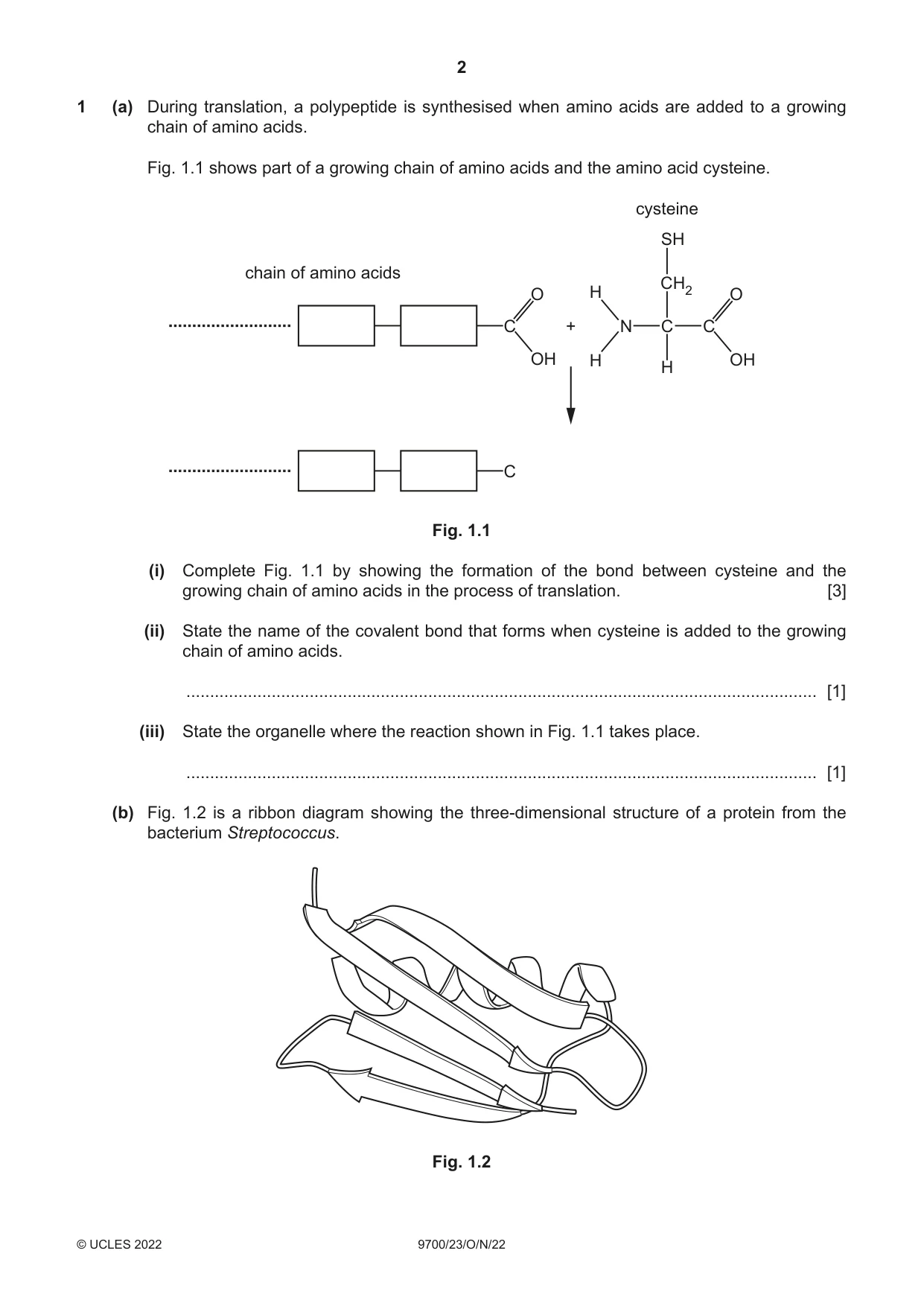 Cambridge A Level Biology 9700 2022 Oct/Nov Paper 2 · Variant 3 question paper, page 2 of 16