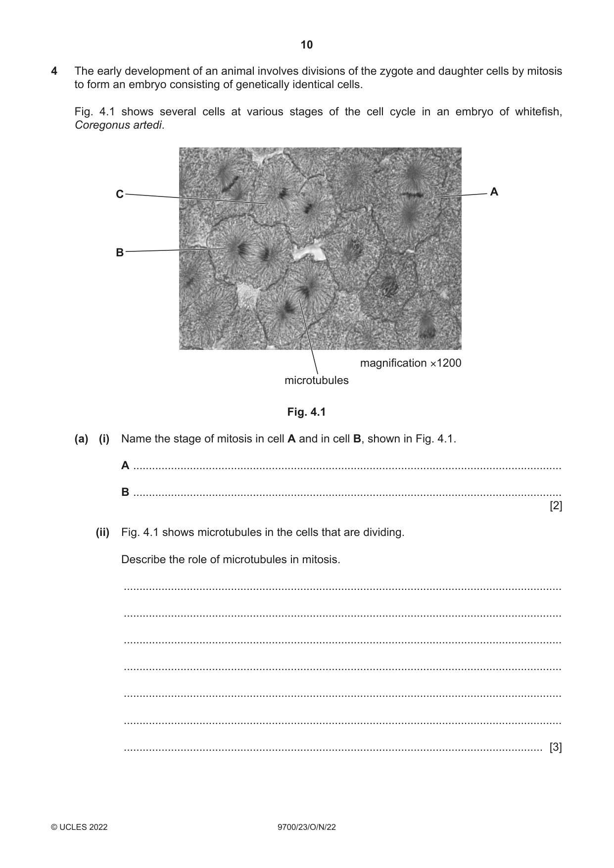 Cambridge A Level Biology 9700 2022 Oct/Nov Paper 2 · Variant 3 question paper, page 10 of 16