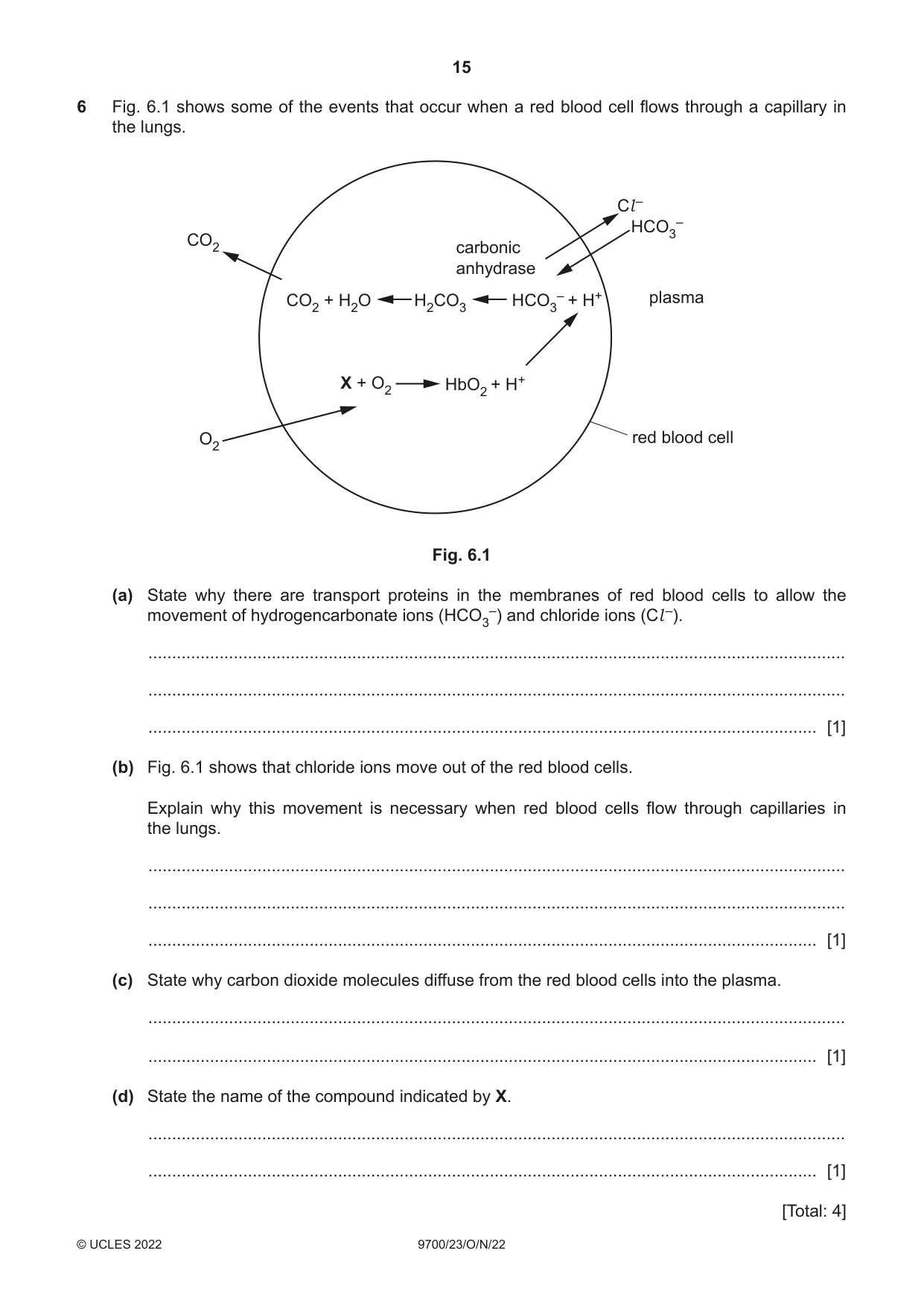 Cambridge A Level Biology 9700 2022 Oct/Nov Paper 2 · Variant 3 question paper, page 15 of 16