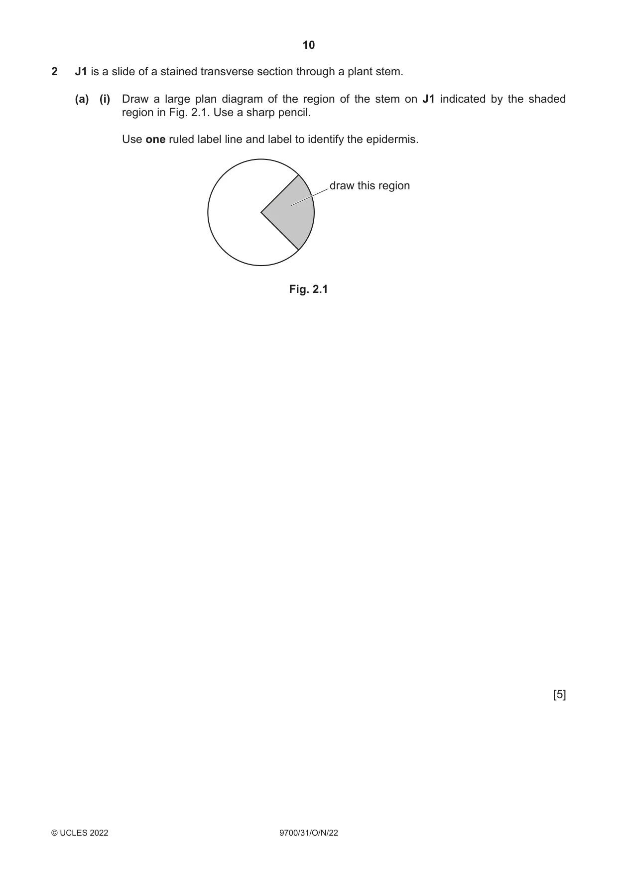 Cambridge A Level Biology 9700 2022 Oct/Nov Paper 3 · Variant 1 question paper, page 10 of 16