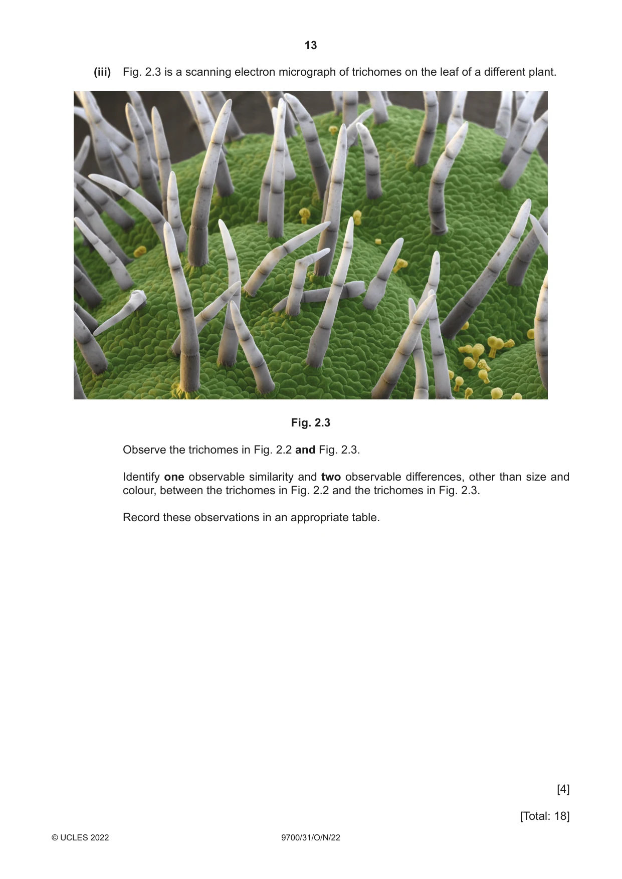 Cambridge A Level Biology 9700 2022 Oct/Nov Paper 3 · Variant 1 question paper, page 13 of 16