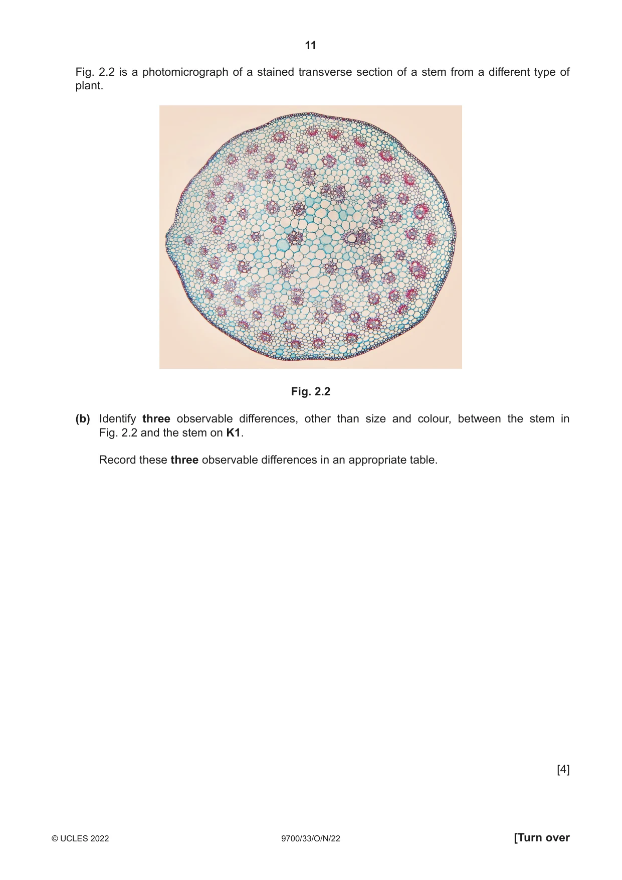 Cambridge A Level Biology 9700 2022 Oct/Nov Paper 3 · Variant 3 question paper, page 11 of 16