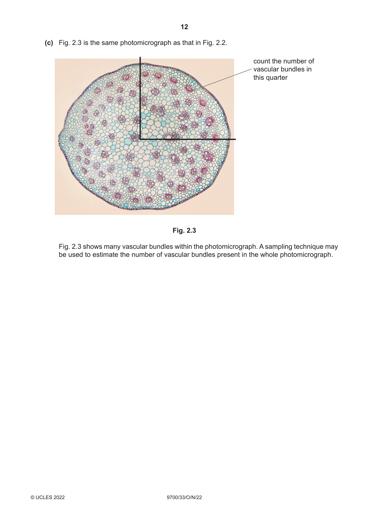 Cambridge A Level Biology 9700 2022 Oct/Nov Paper 3 · Variant 3 question paper, page 12 of 16