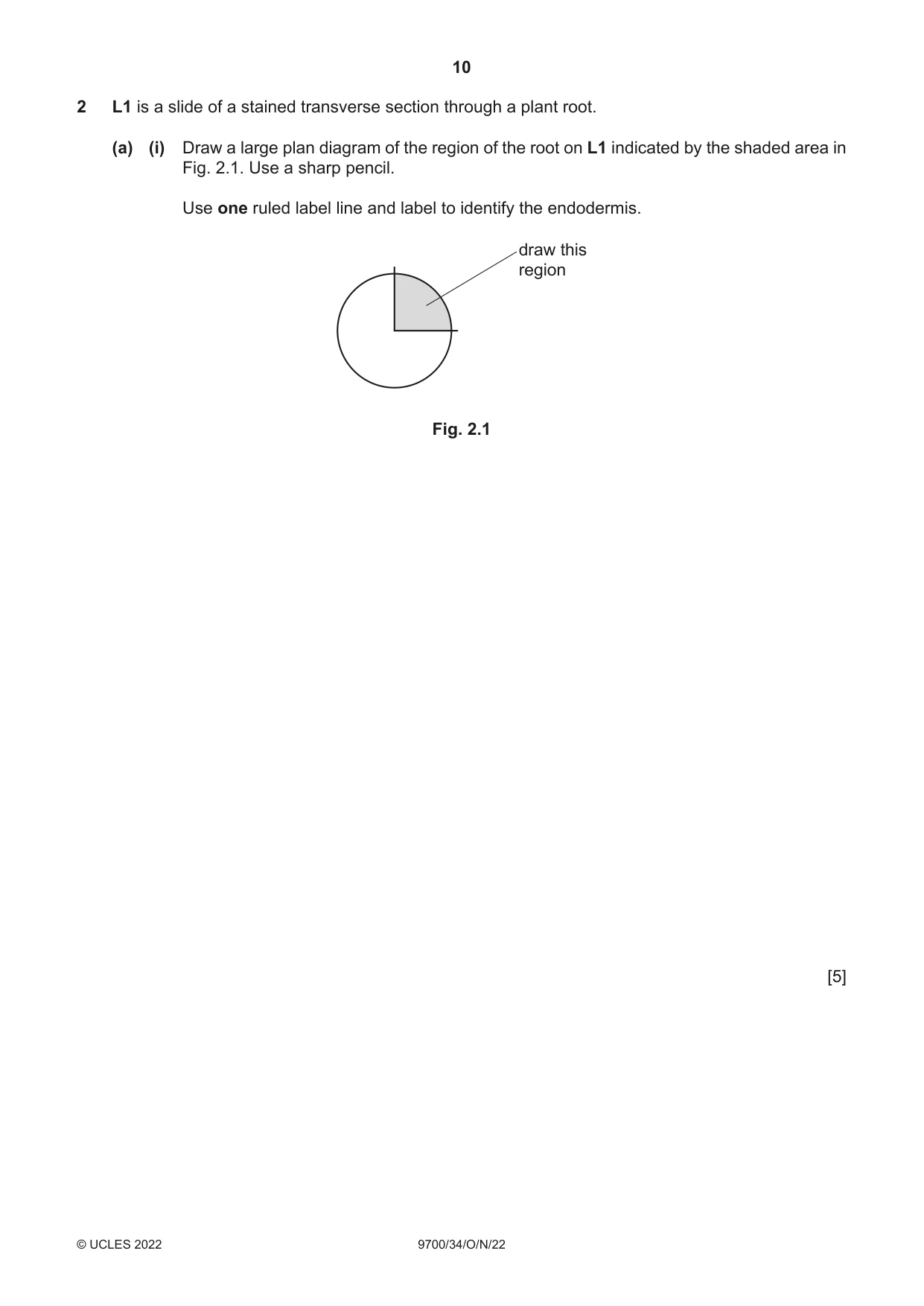 Cambridge A Level Biology 9700 2022 Oct/Nov Paper 3 · Variant 4 question paper, page 10 of 16