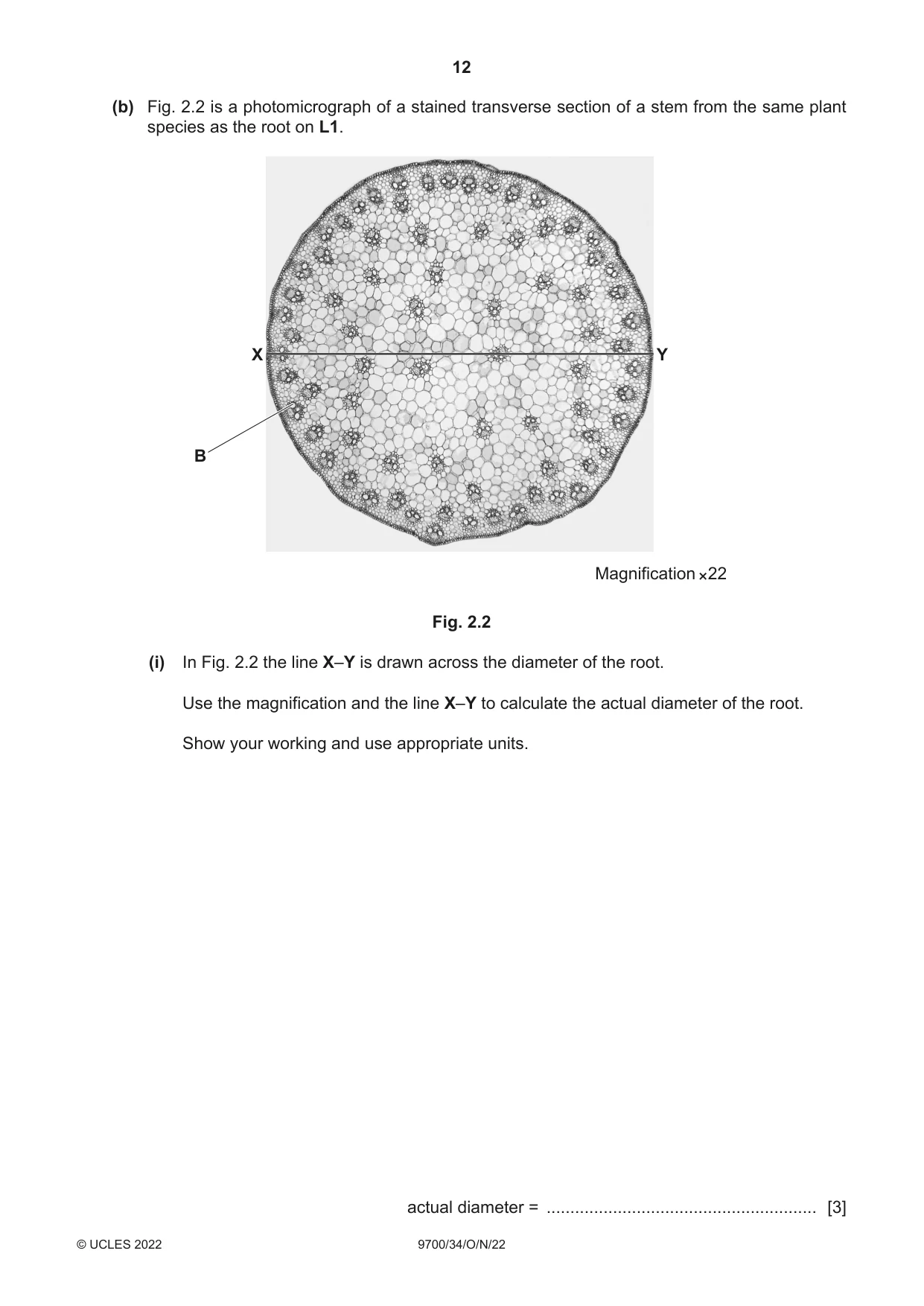 Cambridge A Level Biology 9700 2022 Oct/Nov Paper 3 · Variant 4 question paper, page 12 of 16