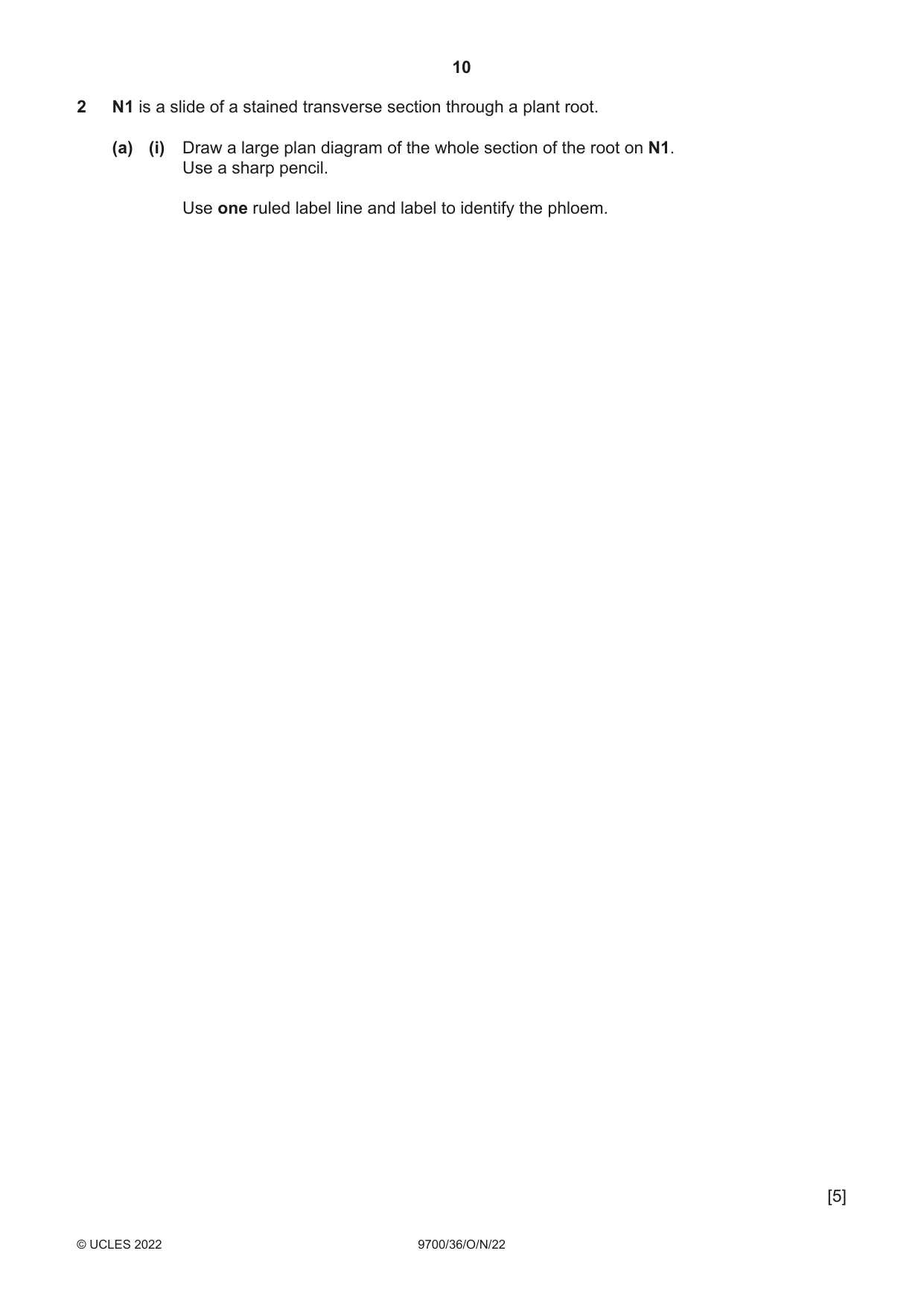 Cambridge A Level Biology 9700 2022 Oct/Nov Paper 3 · Variant 6 question paper, page 10 of 16