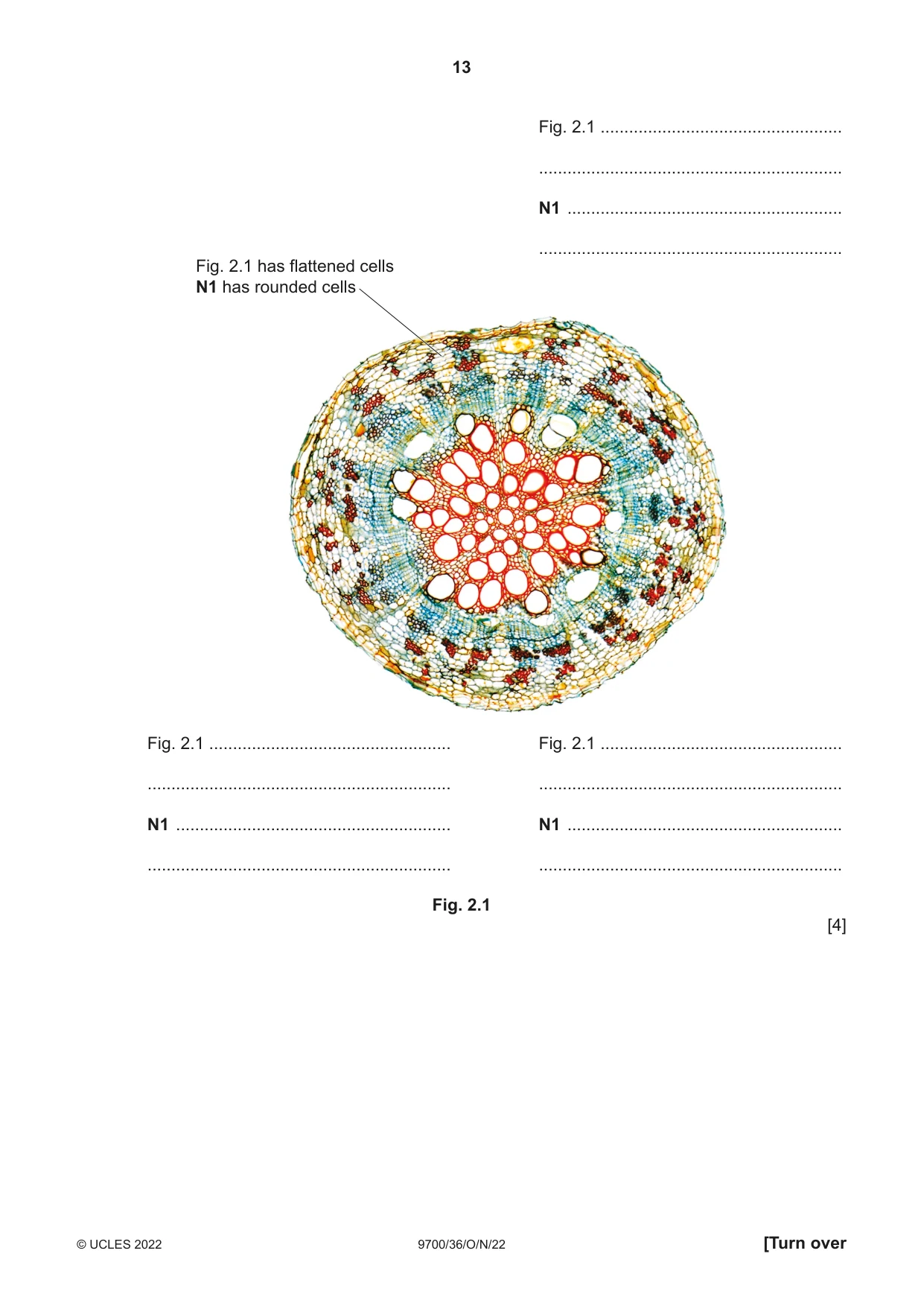 Cambridge A Level Biology 9700 2022 Oct/Nov Paper 3 · Variant 6 question paper, page 13 of 16