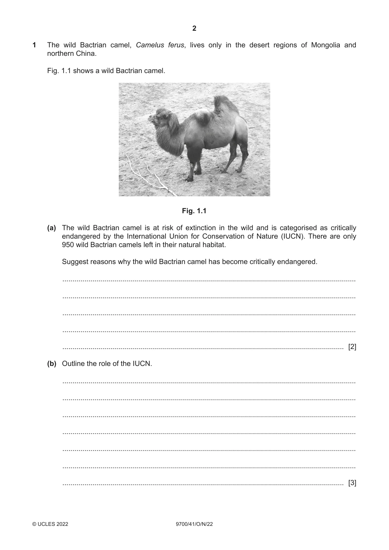 Cambridge A Level Biology 9700 2022 Oct/Nov Paper 4 · Variant 1 question paper, page 2 of 24