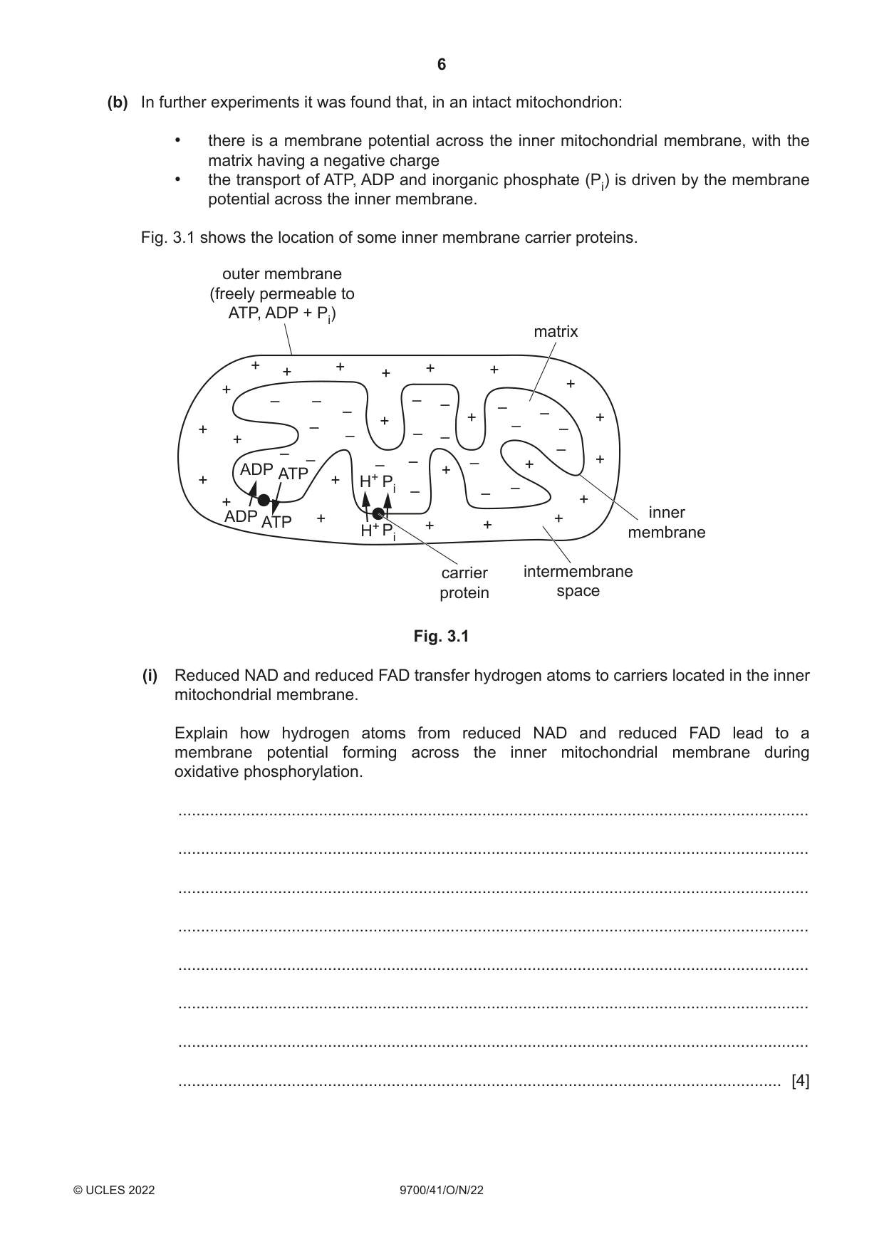 Cambridge A Level Biology 9700 2022 Oct/Nov Paper 4 · Variant 1 question paper, page 6 of 24