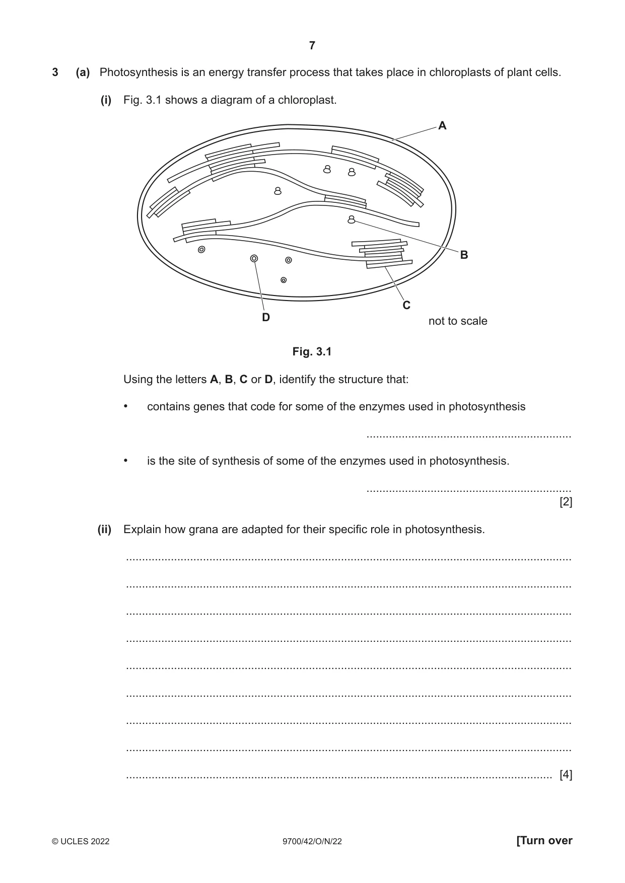 Cambridge A Level Biology 9700 2022 Oct/Nov Paper 4 · Variant 2 question paper, page 7 of 28