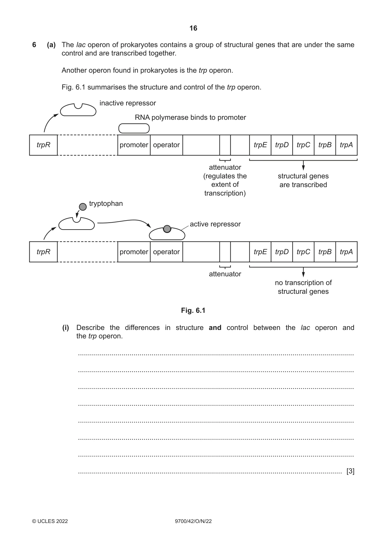 Cambridge A Level Biology 9700 2022 Oct/Nov Paper 4 · Variant 2 question paper, page 16 of 28