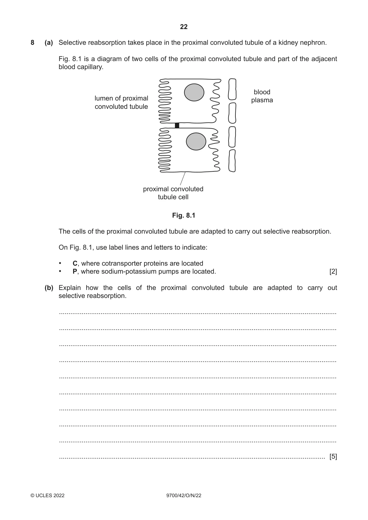 Cambridge A Level Biology 9700 2022 Oct/Nov Paper 4 · Variant 2 question paper, page 22 of 28