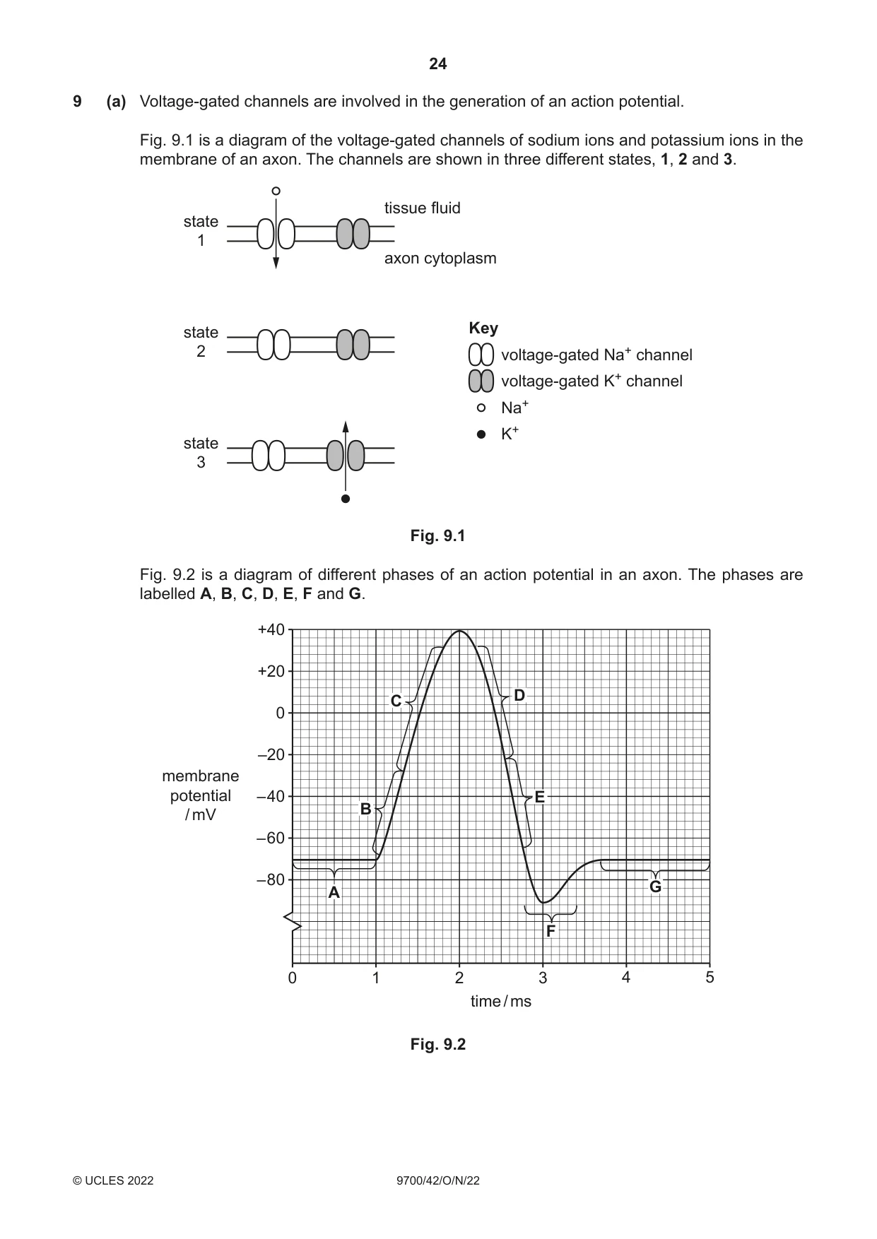 Cambridge A Level Biology 9700 2022 Oct/Nov Paper 4 · Variant 2 question paper, page 24 of 28