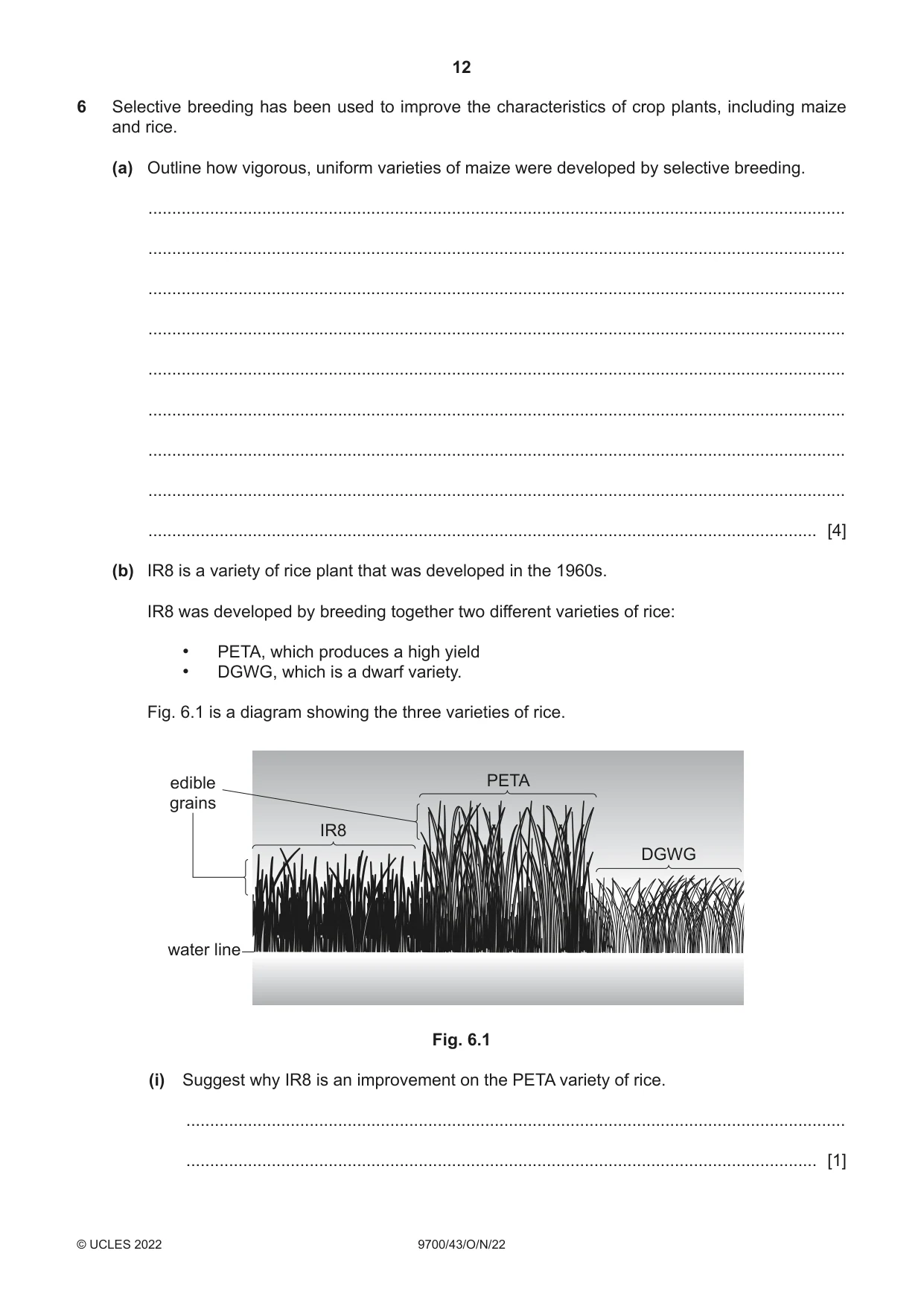 Cambridge A Level Biology 9700 2022 Oct/Nov Paper 4 · Variant 3 question paper, page 12 of 24